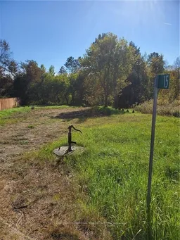 history photo preview