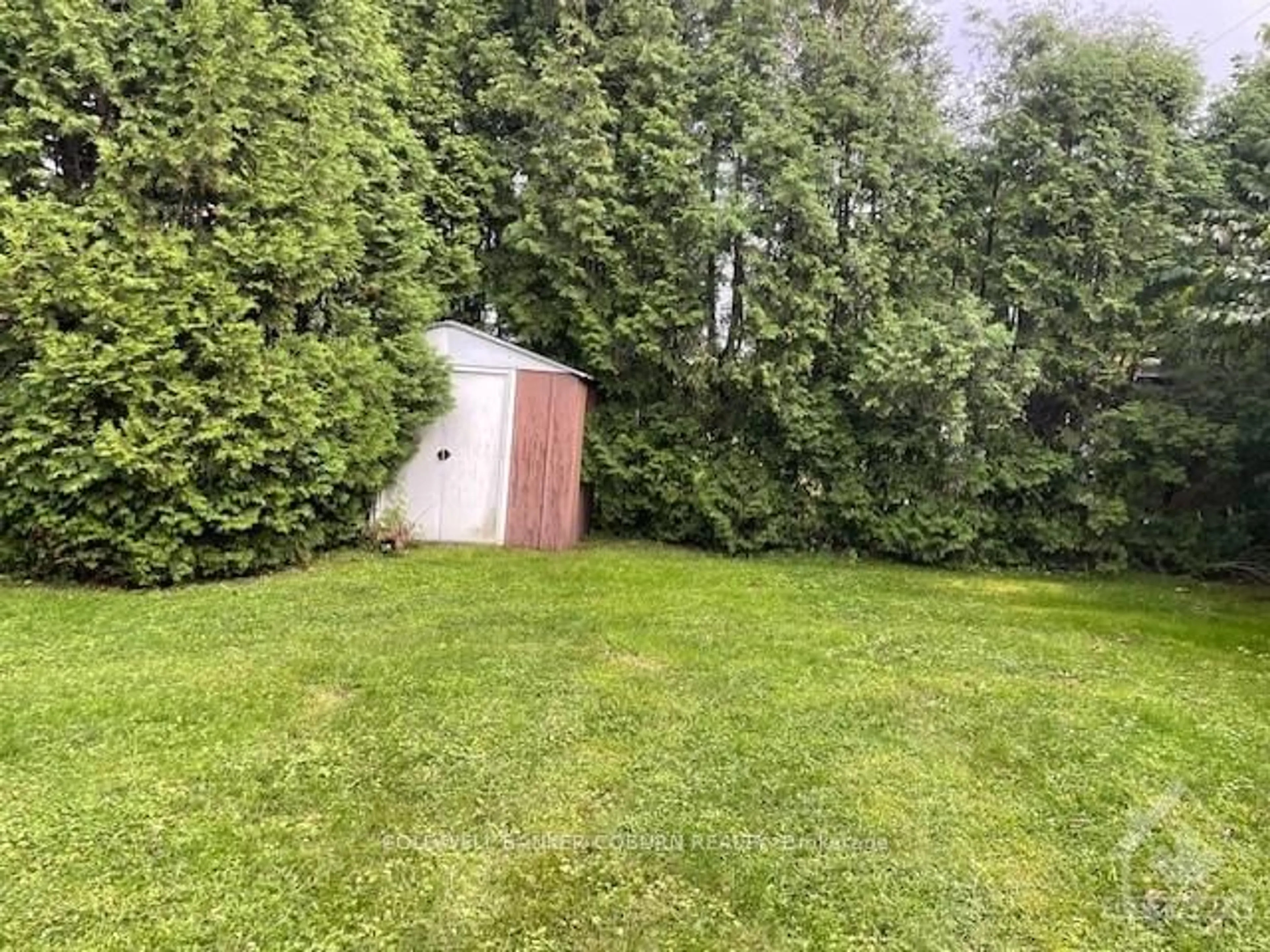 Shed for 20 CASSELMAN St, South Dundas Ontario K0C 1X0