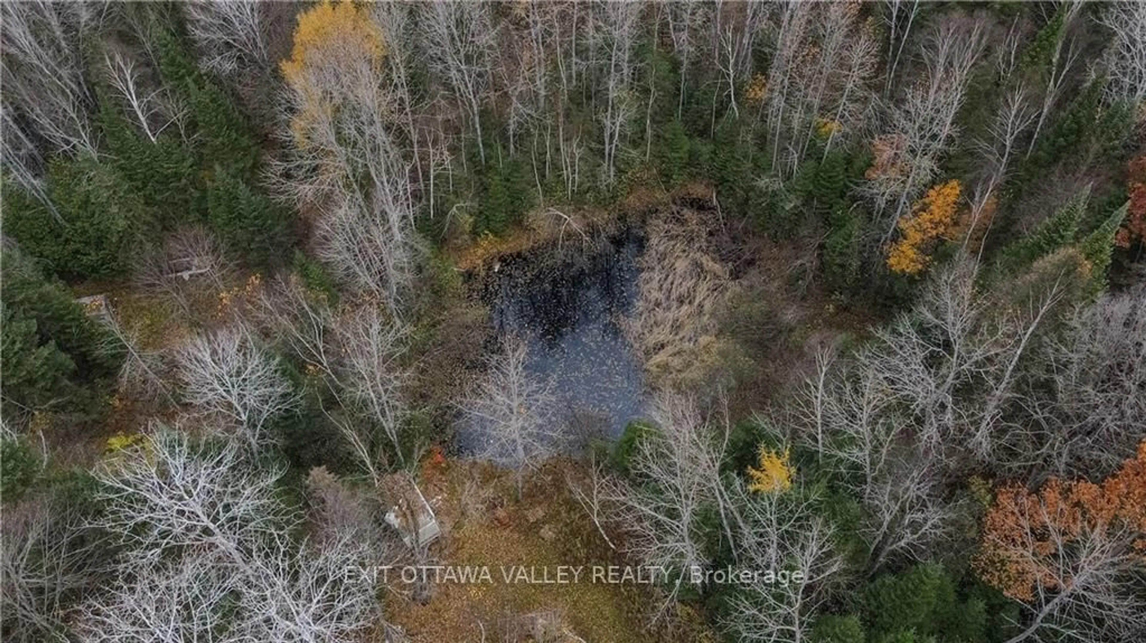 A pic from exterior of the house or condo, forest for 129 MULLEN Rd, Madawaska Valley Ontario K0J 1L0