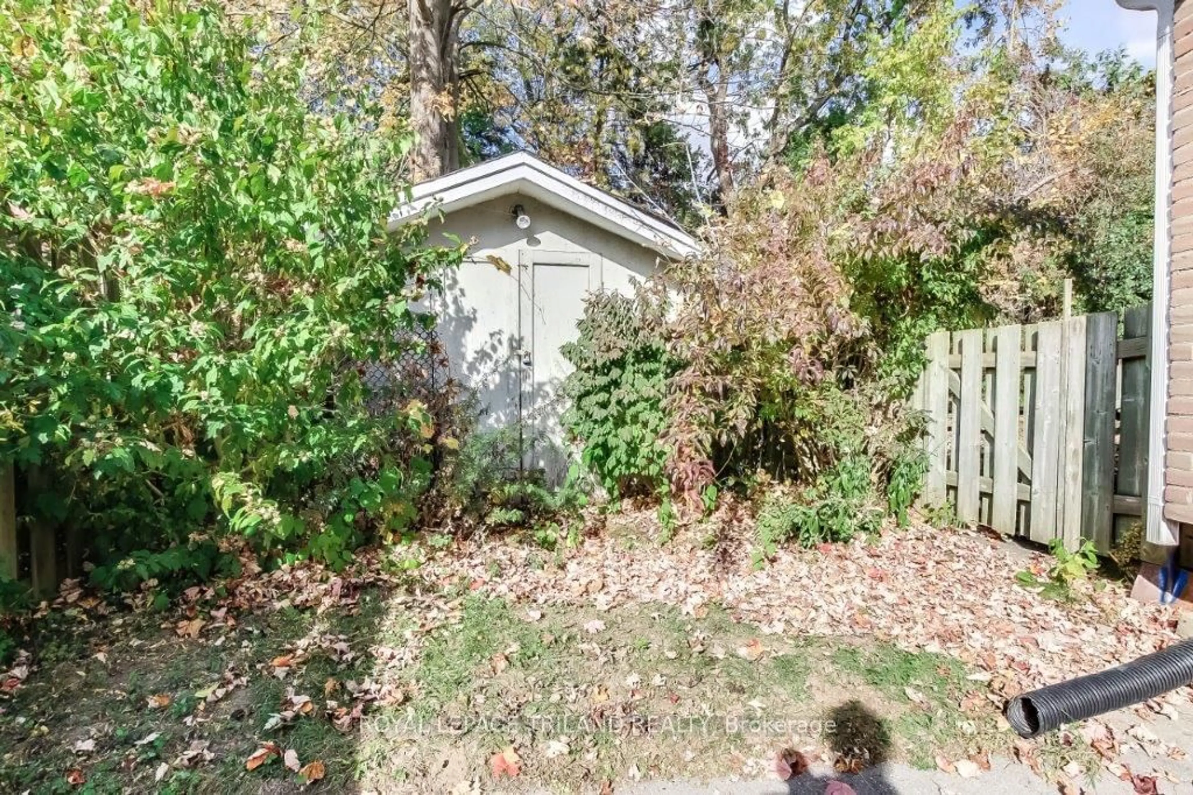 Shed for 121 Paperbirch Cres, London Ontario N6G 1L8