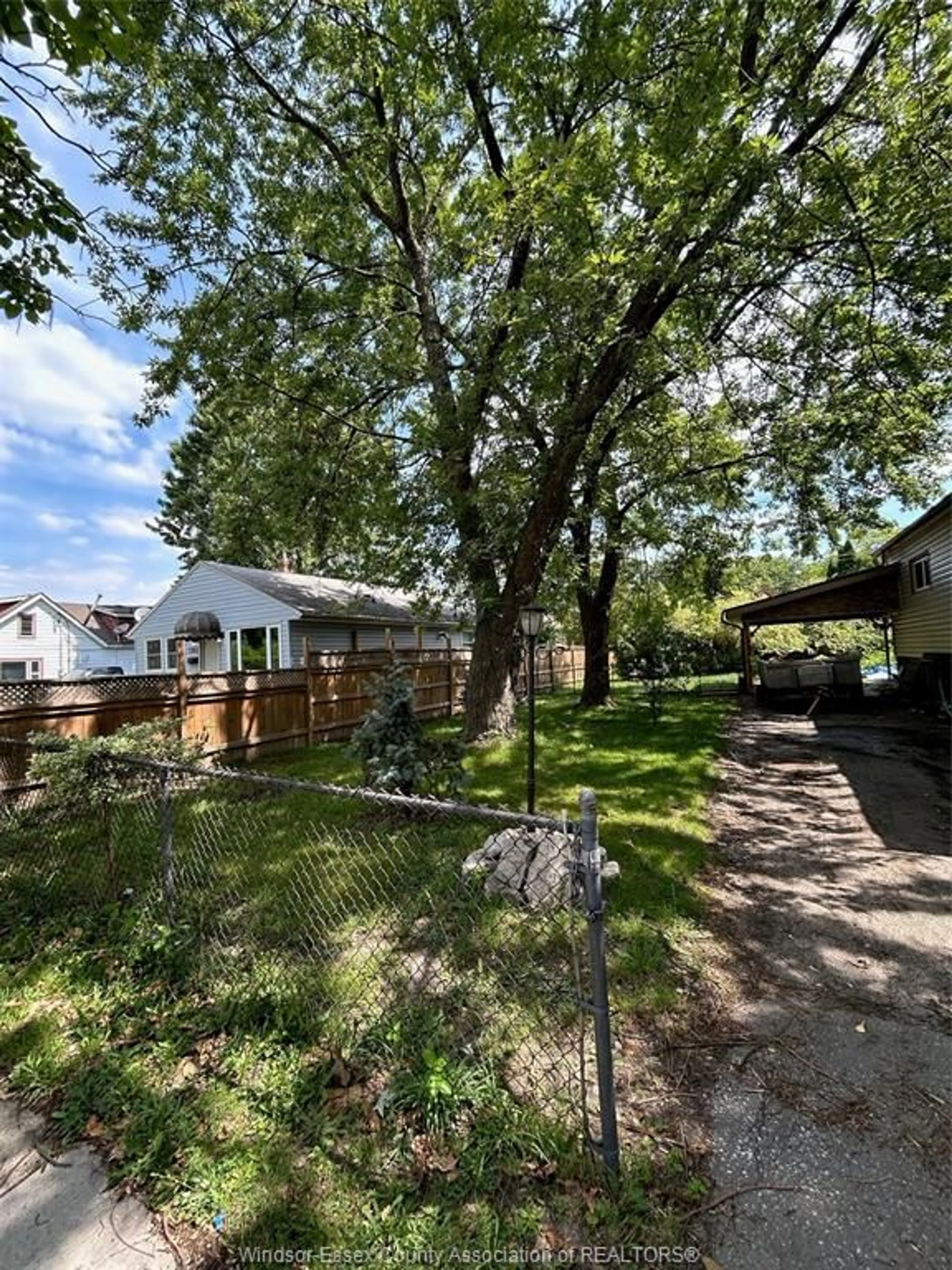 Fenced yard for V/L ST. LUKE, Windsor Ontario N8Y 3N2