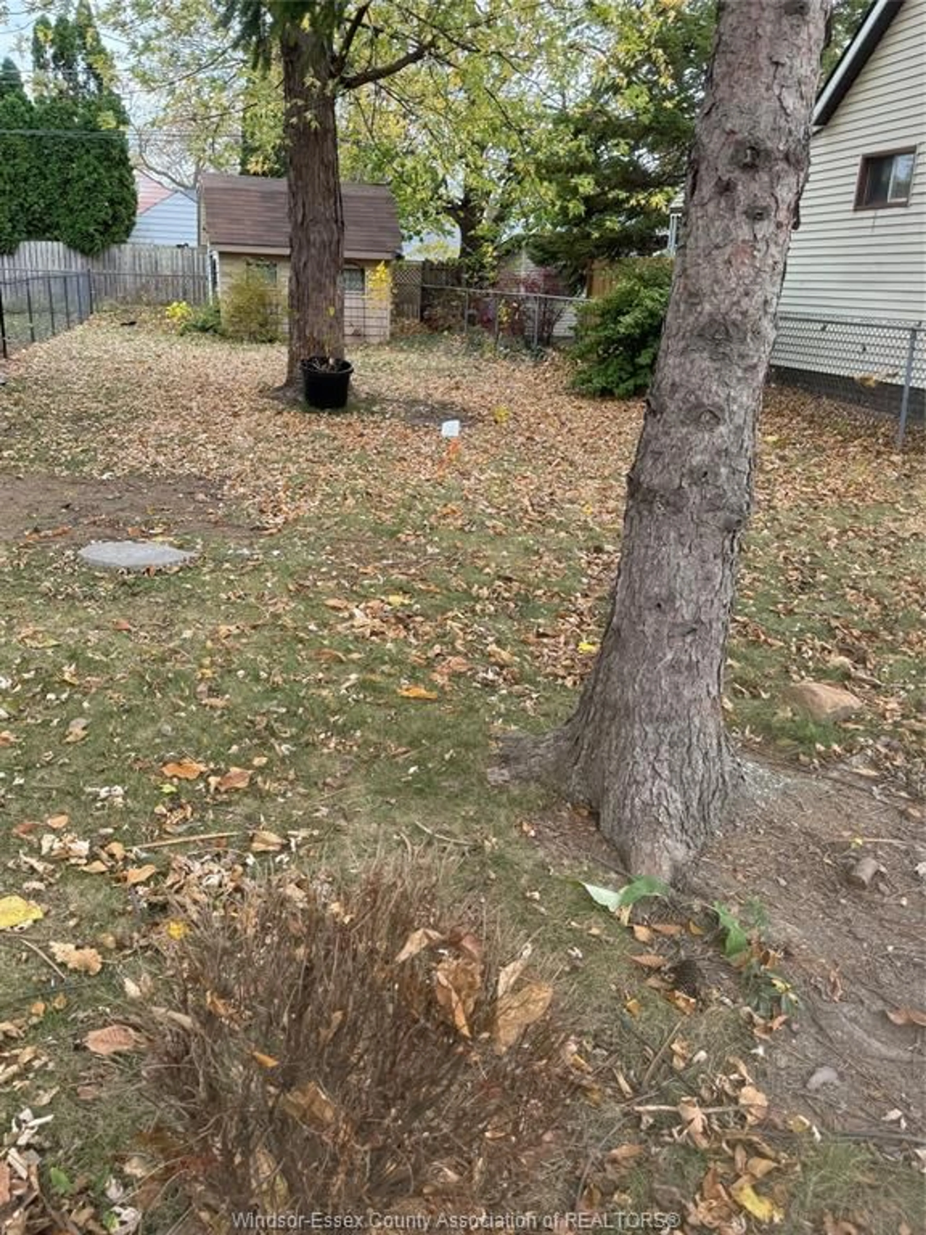 Frontside or backside of a home, the fenced backyard for V/L ST. LUKE, Windsor Ontario N8Y 3N2