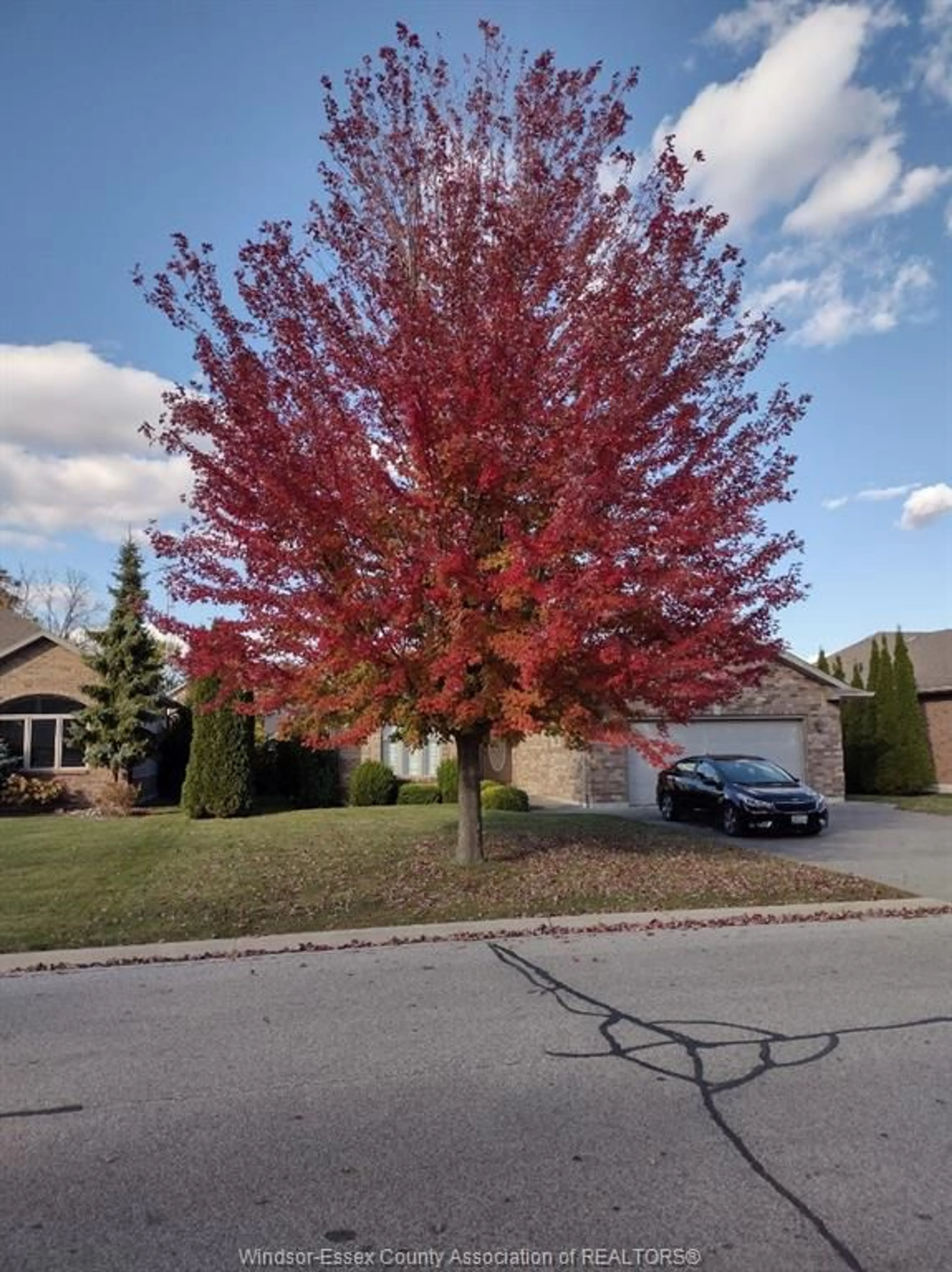 Frontside or backside of a home, the street view for 12 Pecanwood Dr, Kingsville Ontario N9Y 4G3