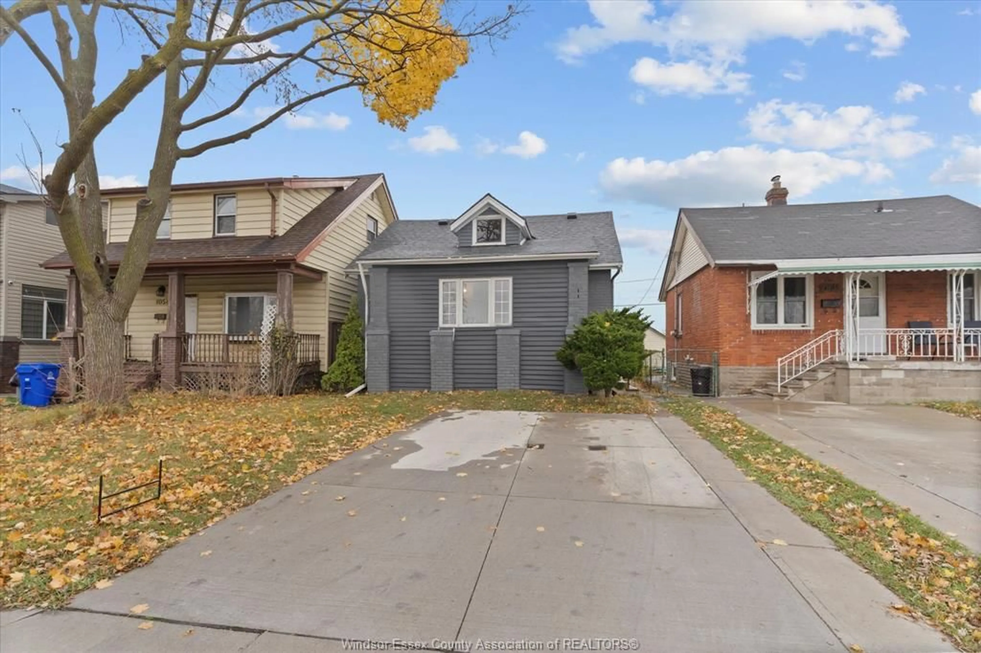 Frontside or backside of a home, the street view for 1060 MCKAY Ave, Windsor Ontario N9B 2A7