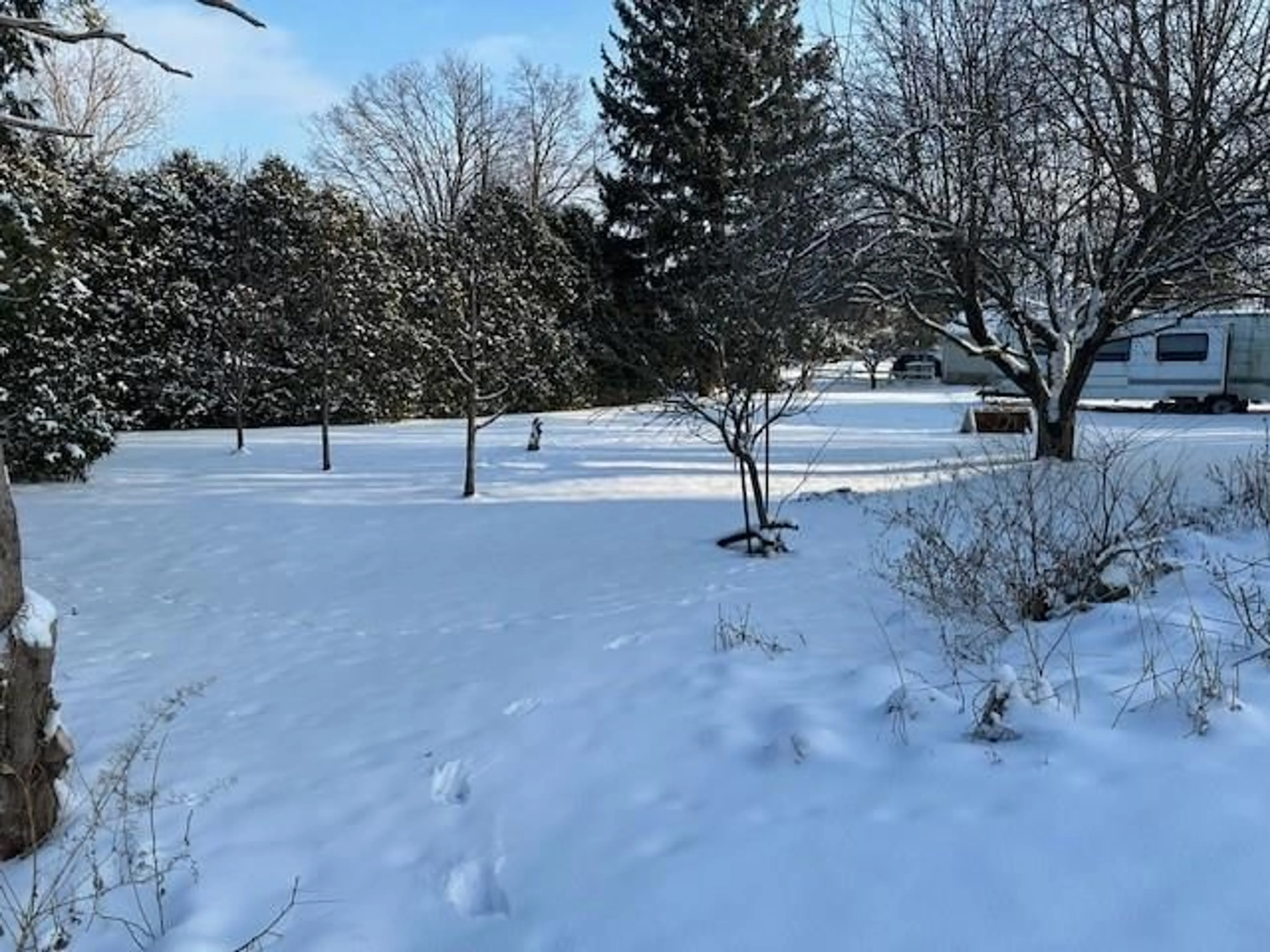 A pic from outside/outdoor area/front of a property/back of a property/a pic from drone, forest/trees view for 8111 SYDENHAM St, Brooke-Alvinston Ontario N0N 1A0