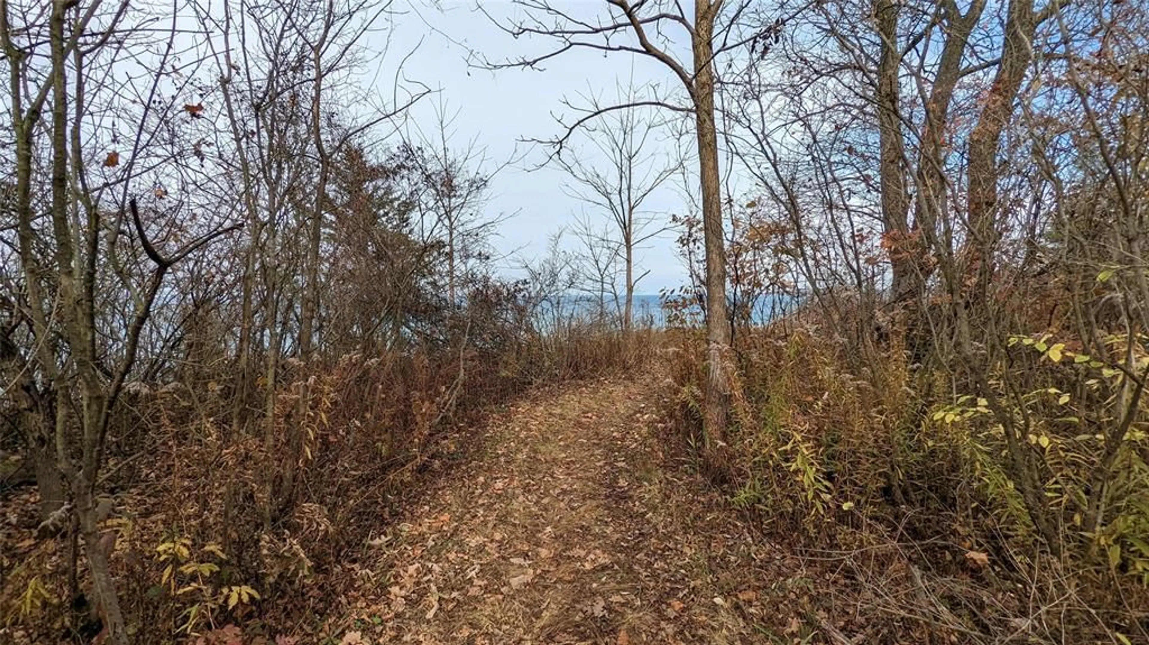 Blurry image for 7007 Blue Coast Hts, Plympton-Wyoming Ontario N0N 1E0