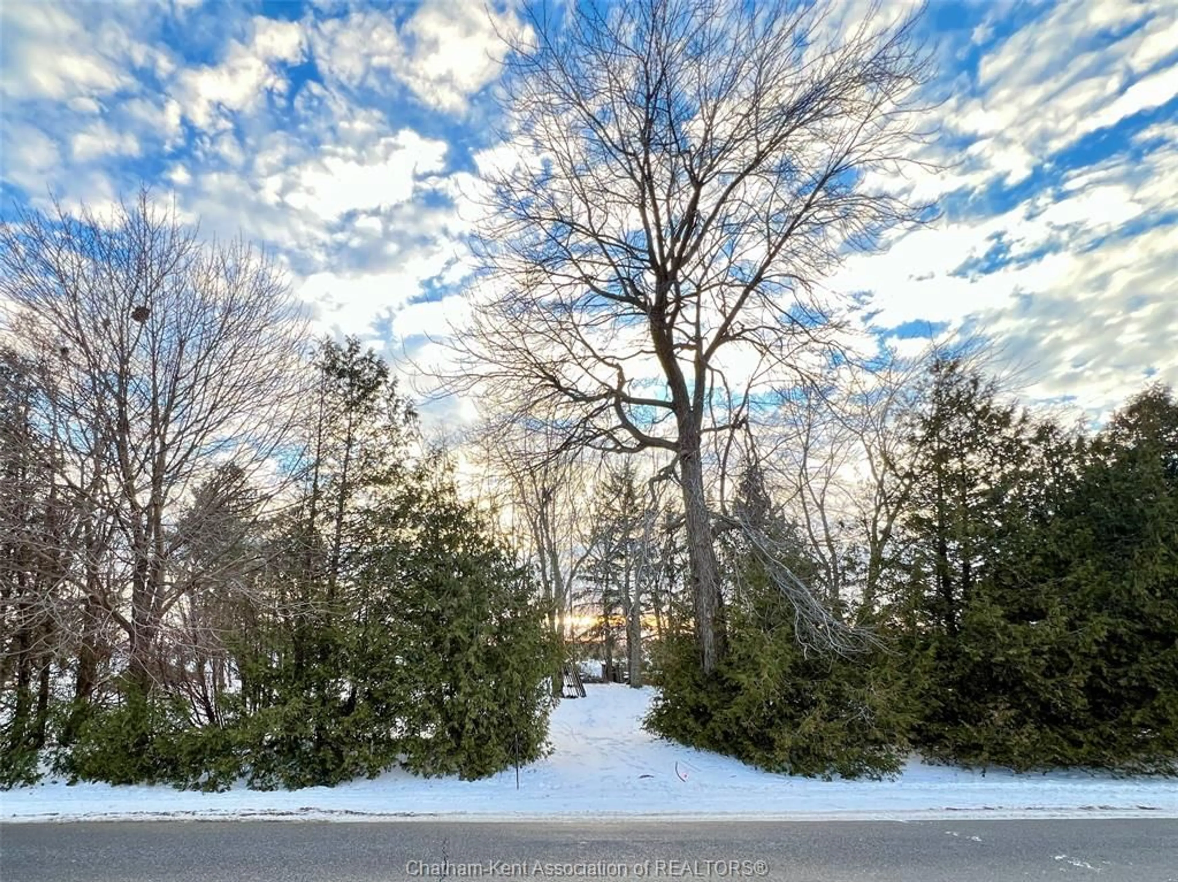 A pic from outside/outdoor area/front of a property/back of a property/a pic from drone, forest/trees view for 106 Erie St, Ridgetown Ontario N0P 2C0