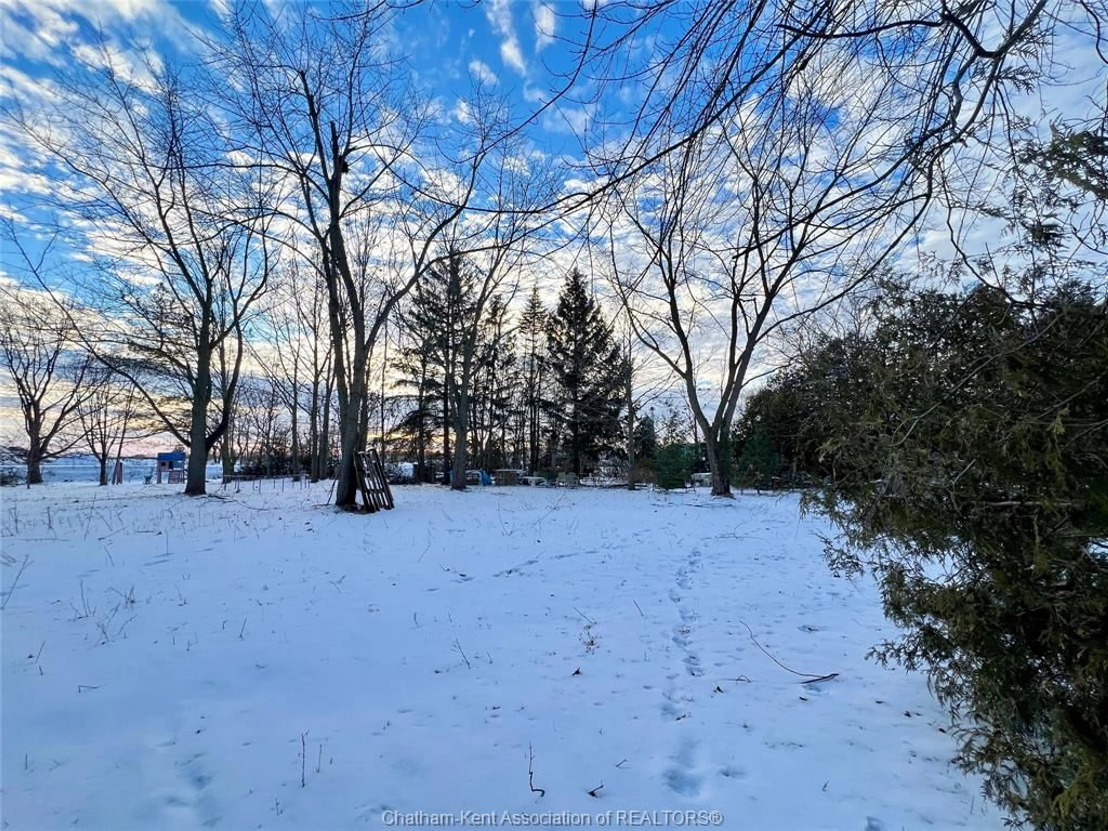 A pic from outside/outdoor area/front of a property/back of a property/a pic from drone, forest/trees view for 106 Erie St, Ridgetown Ontario N0P 2C0