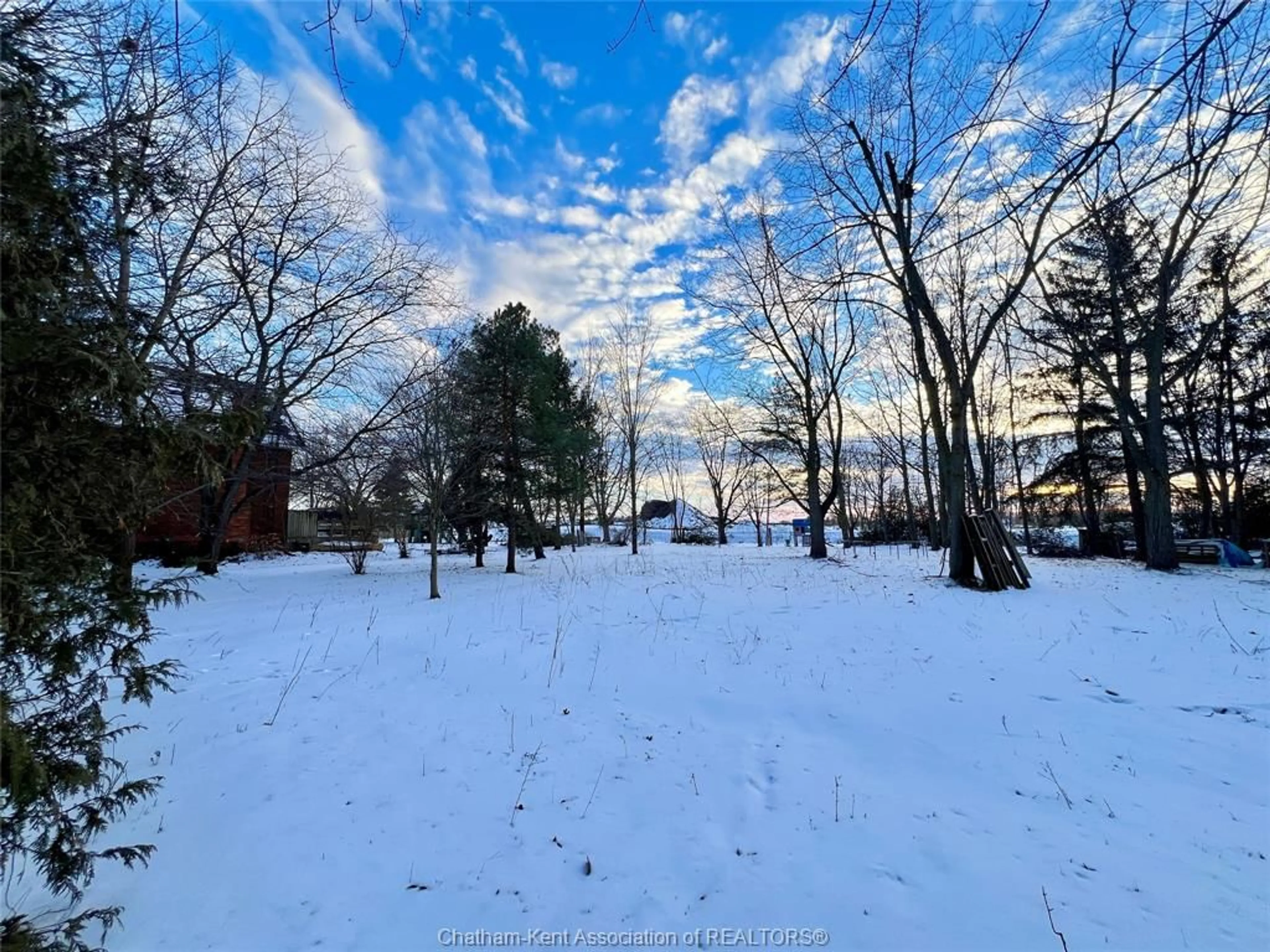 A pic from outside/outdoor area/front of a property/back of a property/a pic from drone, forest/trees view for 106 Erie St, Ridgetown Ontario N0P 2C0