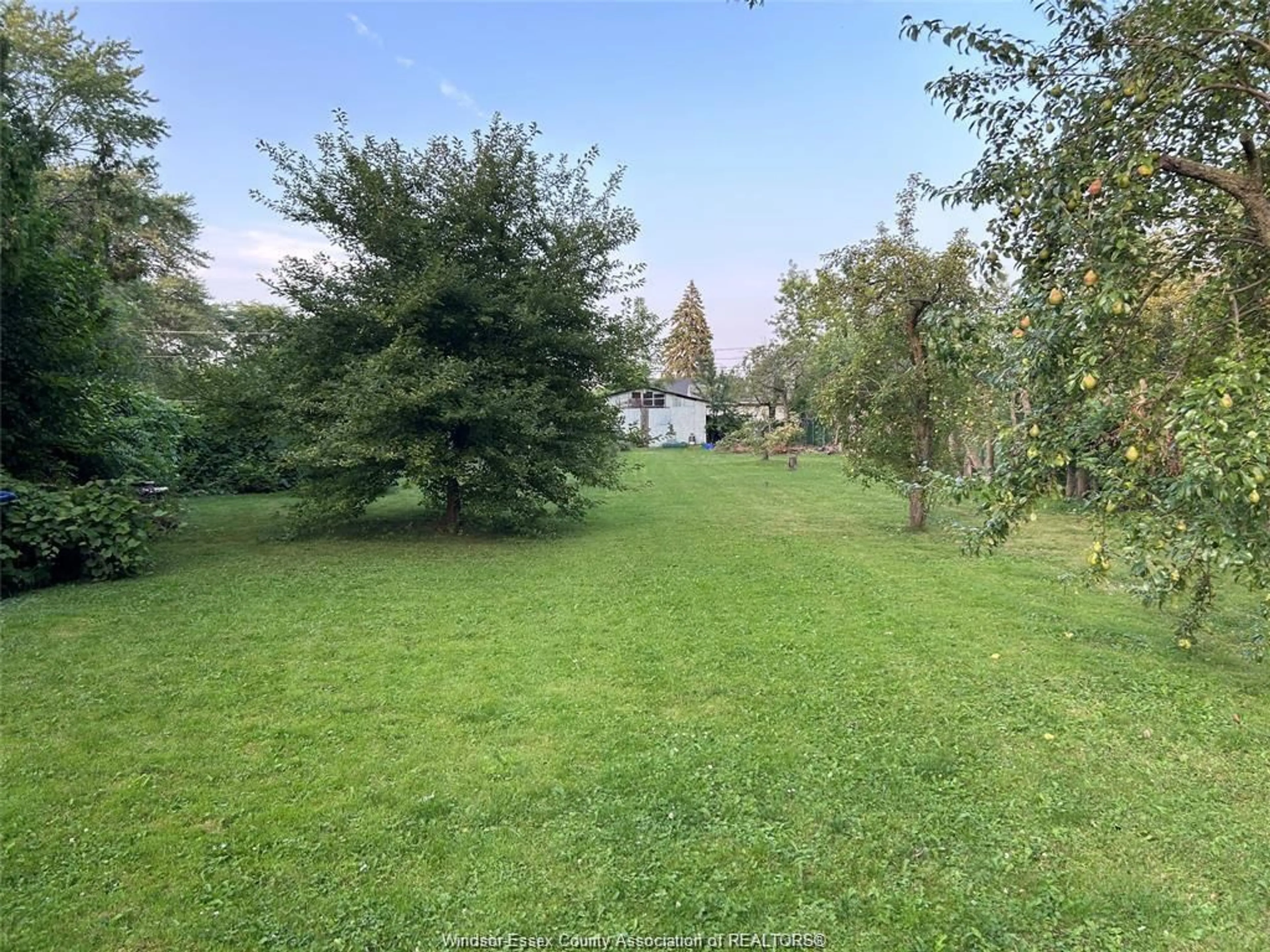 A pic from outside/outdoor area/front of a property/back of a property/a pic from drone, forest/trees view for 2760 JOS ST. LOUIS, Windsor Ontario N8T 2M6