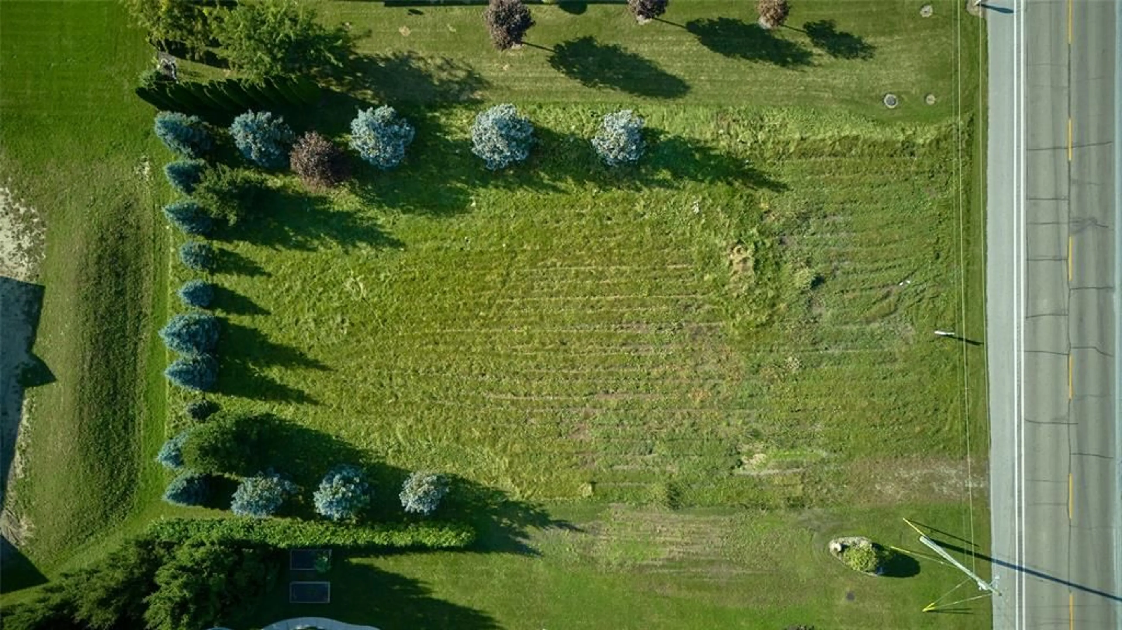 A pic from outside/outdoor area/front of a property/back of a property/a pic from drone, forest/trees view for LOT 2 PLAN 788 ST CLAIR Pky, Port Lambton Ontario N0P 2B0