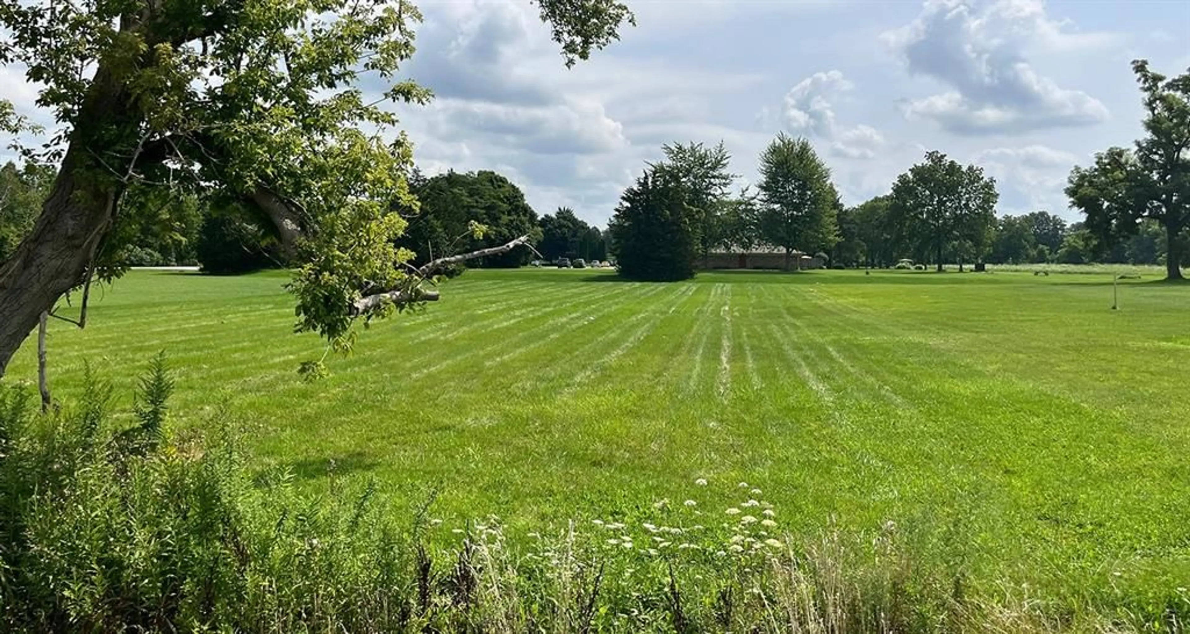 A pic from outside/outdoor area/front of a property/back of a property/a pic from drone, forest/trees view for 3168 NAUVOO Rd, Brooke-Alvinston Ontario N0N 1A0