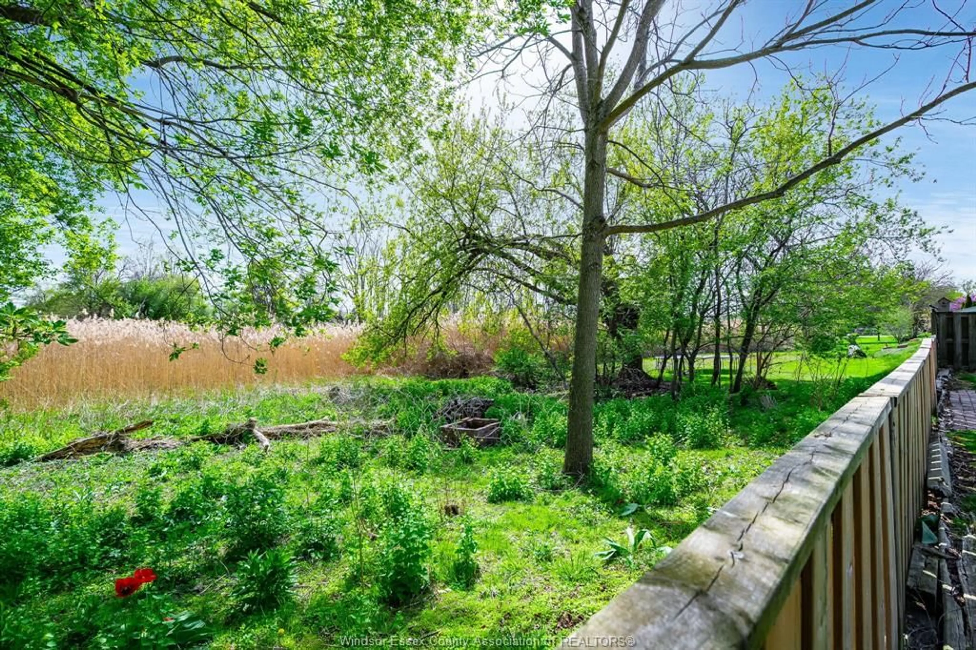 Patio, forest/trees view for 769 RIVER Ave, LaSalle Ontario N9J 3K9