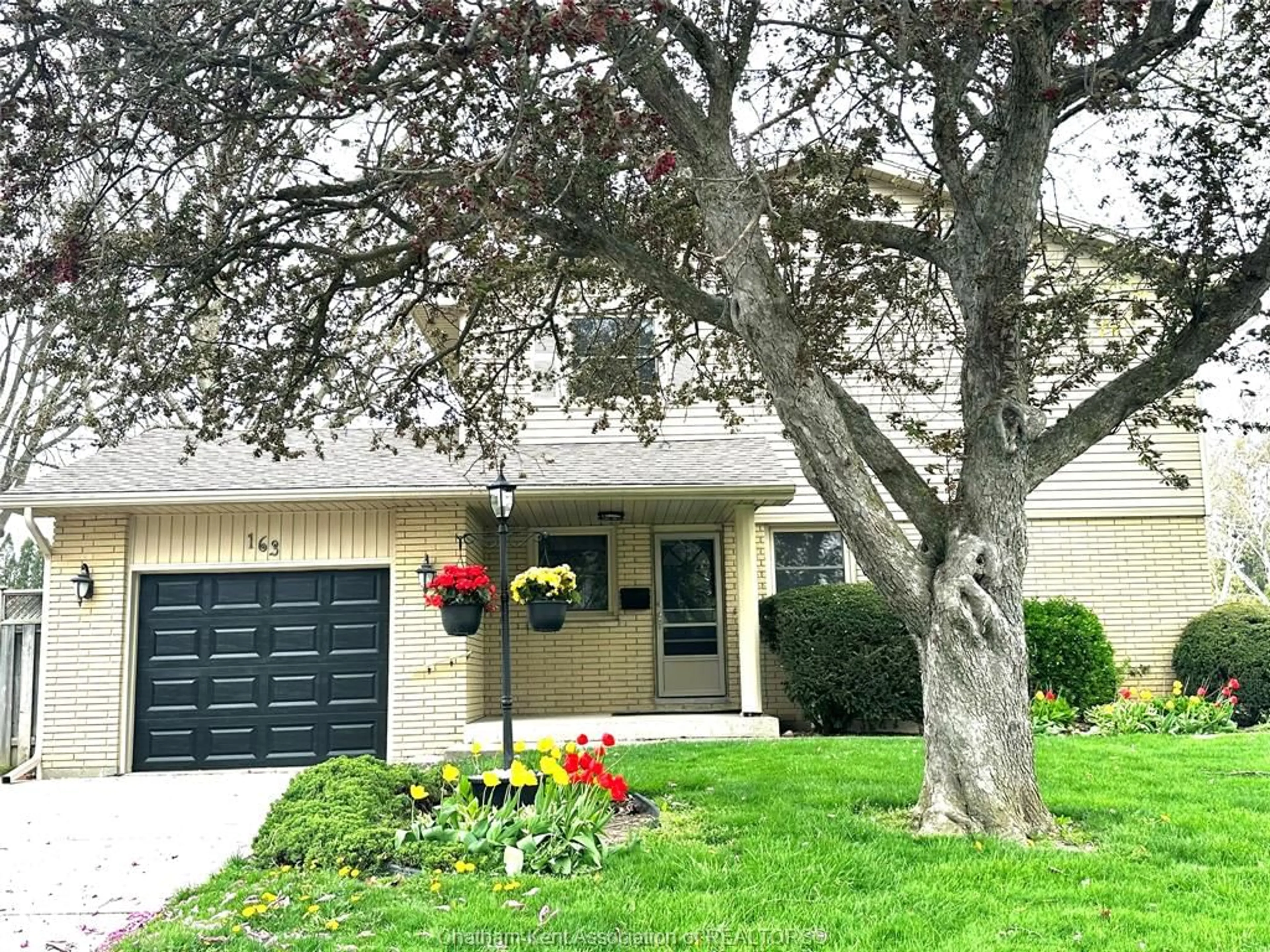 Unknown for 163 Cecile Ave, Chatham Ontario N7M 2C4