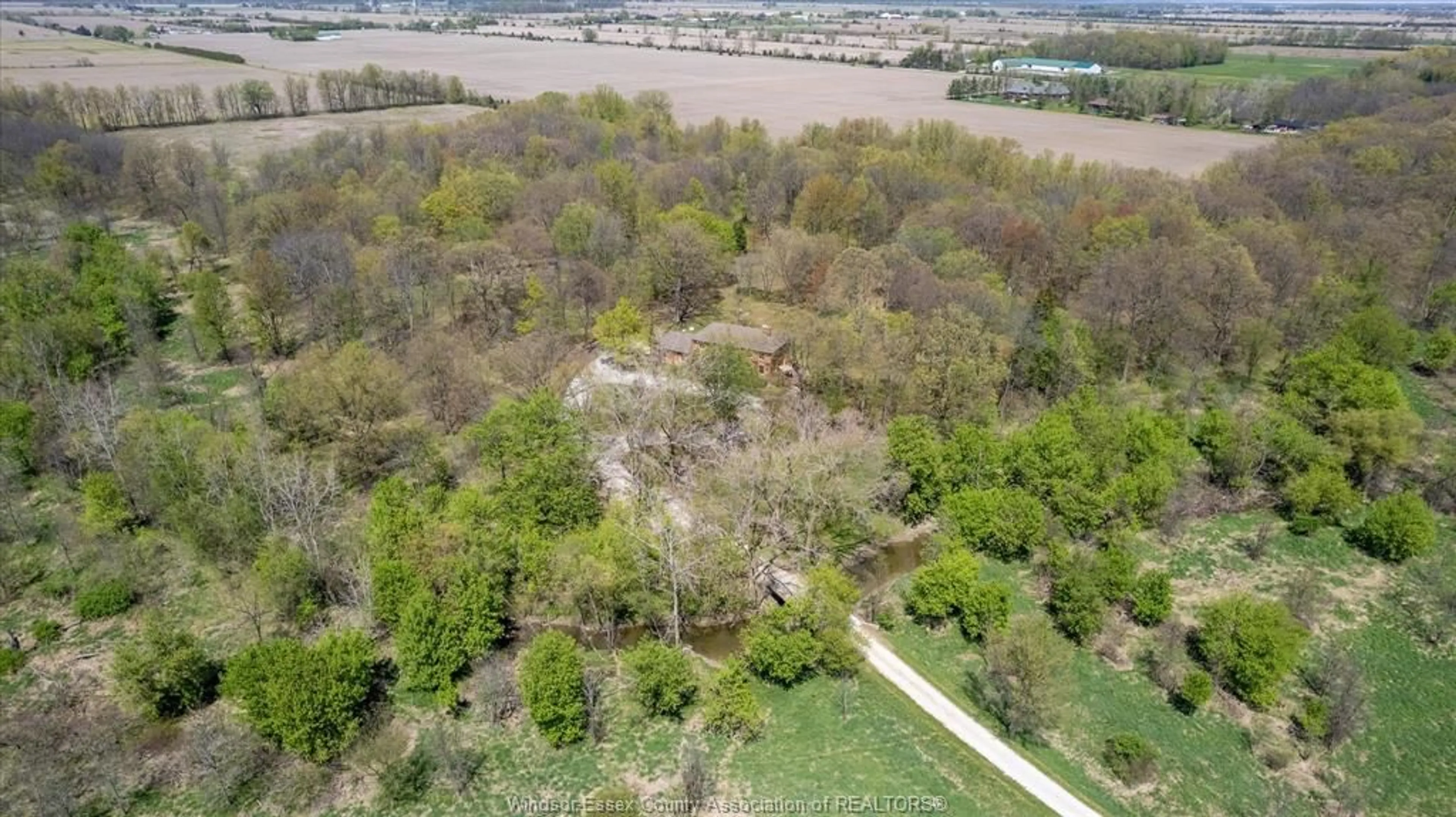A pic from outside/outdoor area/front of a property/back of a property/a pic from drone, forest/trees view for 1782 SOUTH MALDEN, Essex Ontario N8M 2X5