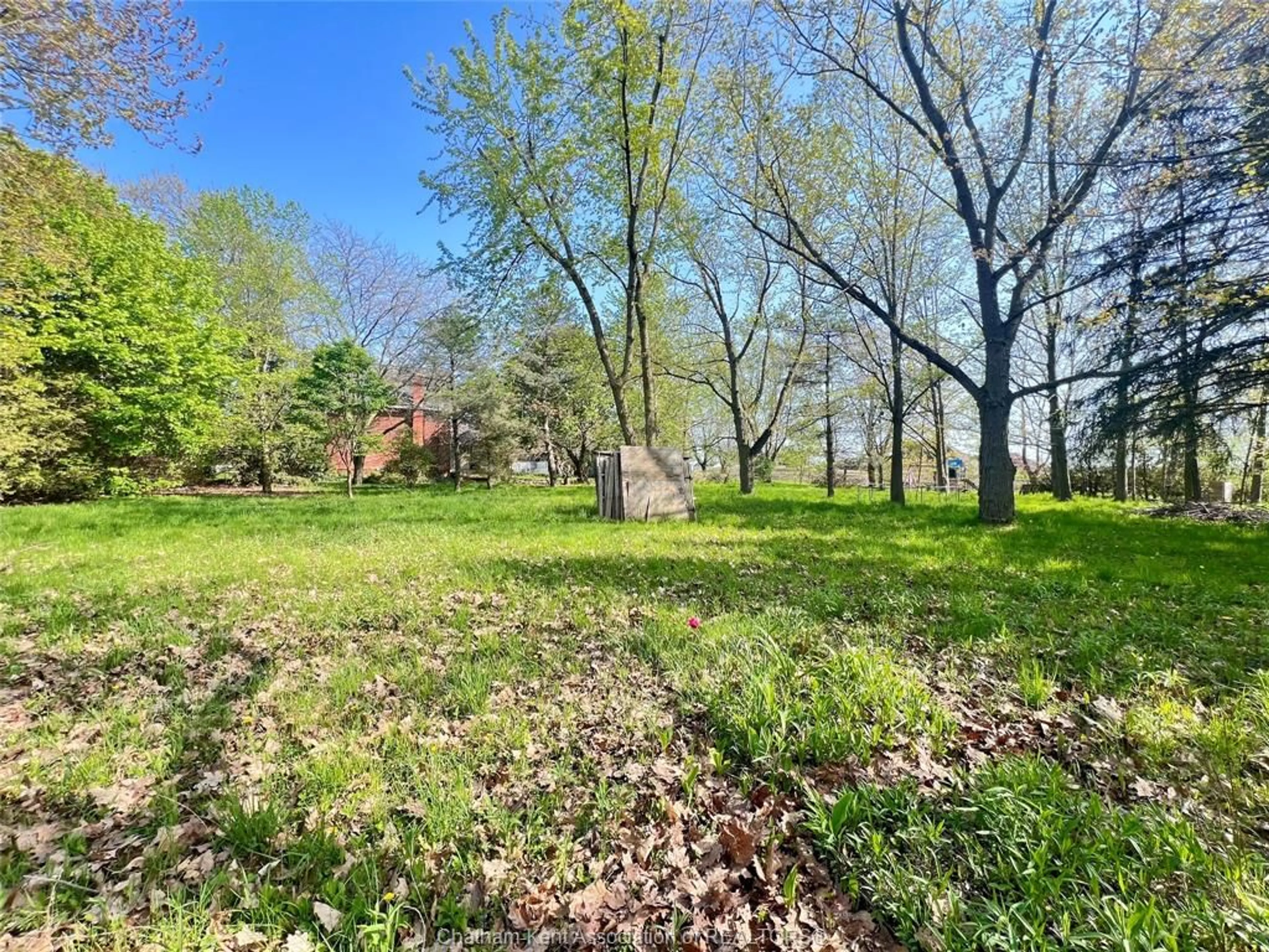 A pic from outside/outdoor area/front of a property/back of a property/a pic from drone, forest/trees view for 106 Erie St, Ridgetown Ontario N0P 2C0