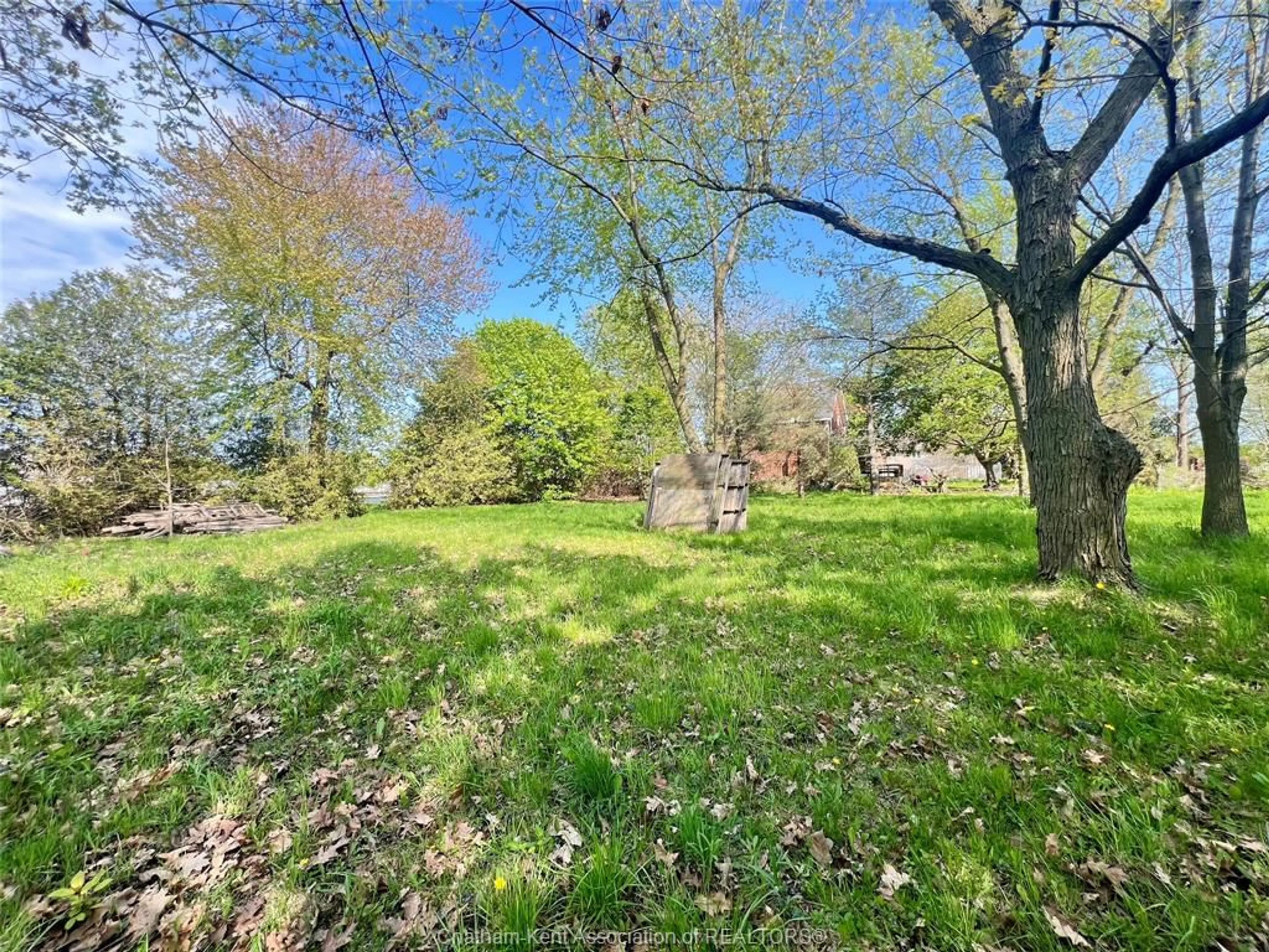 A pic from outside/outdoor area/front of a property/back of a property/a pic from drone, forest/trees view for 106 Erie St, Ridgetown Ontario N0P 2C0