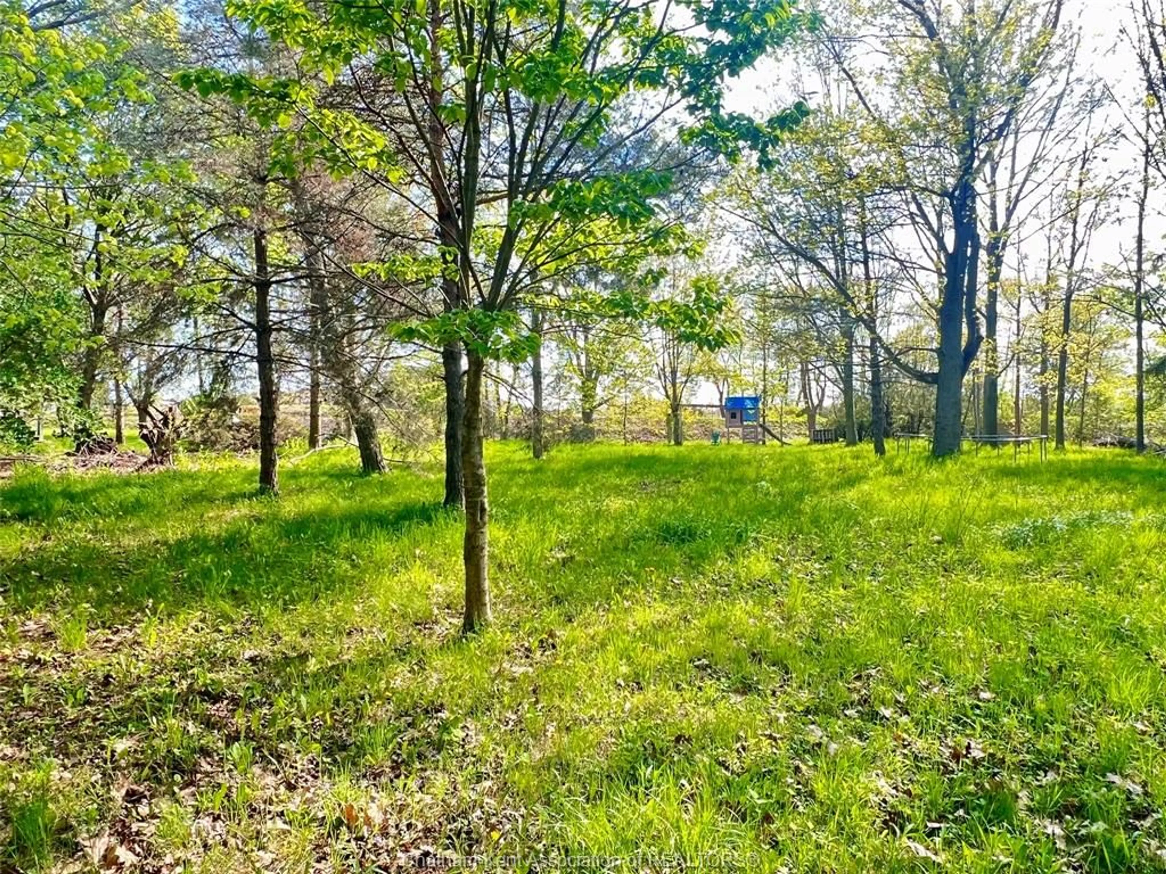 A pic from outside/outdoor area/front of a property/back of a property/a pic from drone, forest/trees view for 106 Erie St, Ridgetown Ontario N0P 2C0