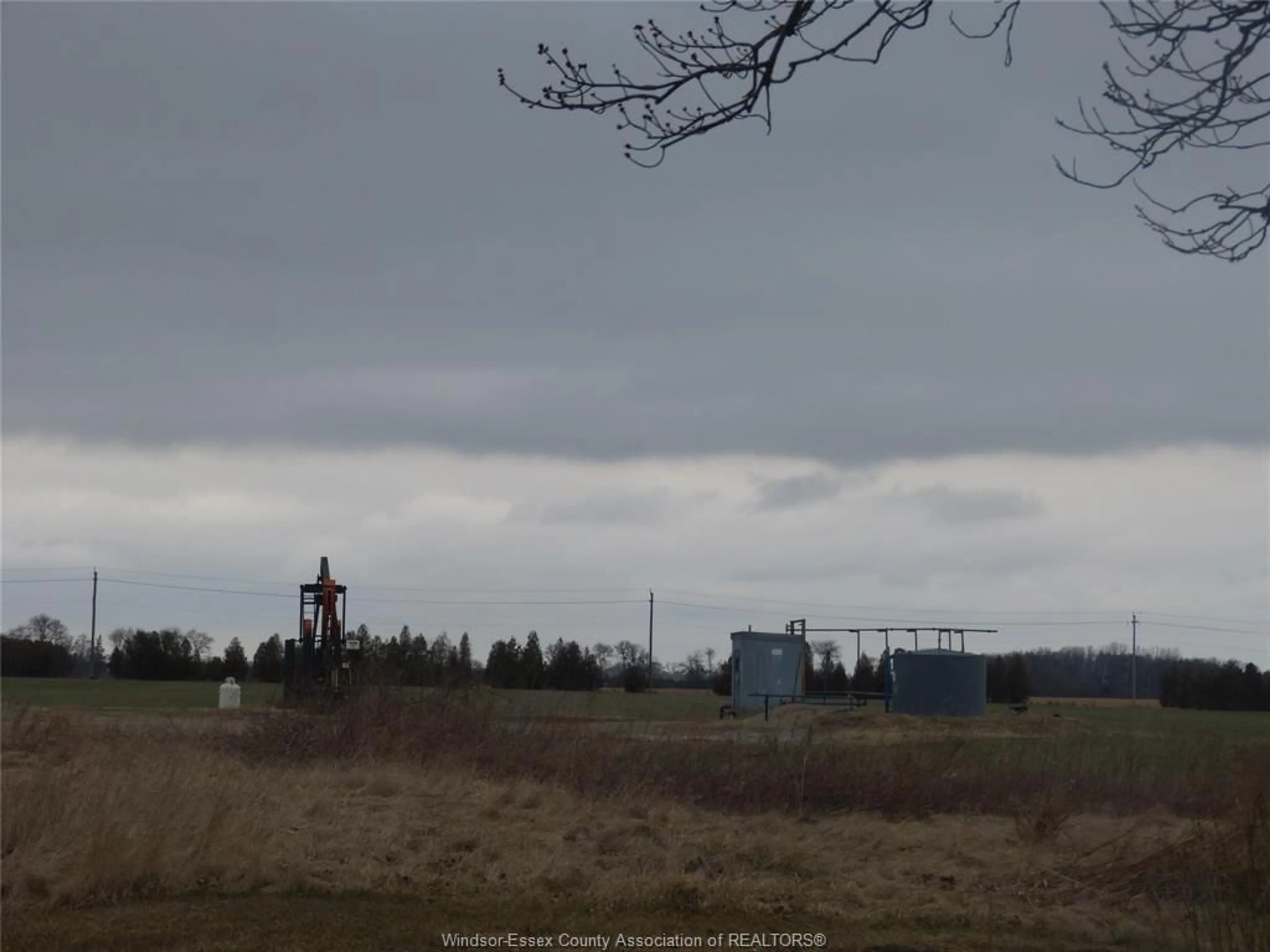 Blurry image for 321 HIGHWAY 3, Leamington Ontario N8H 3V6