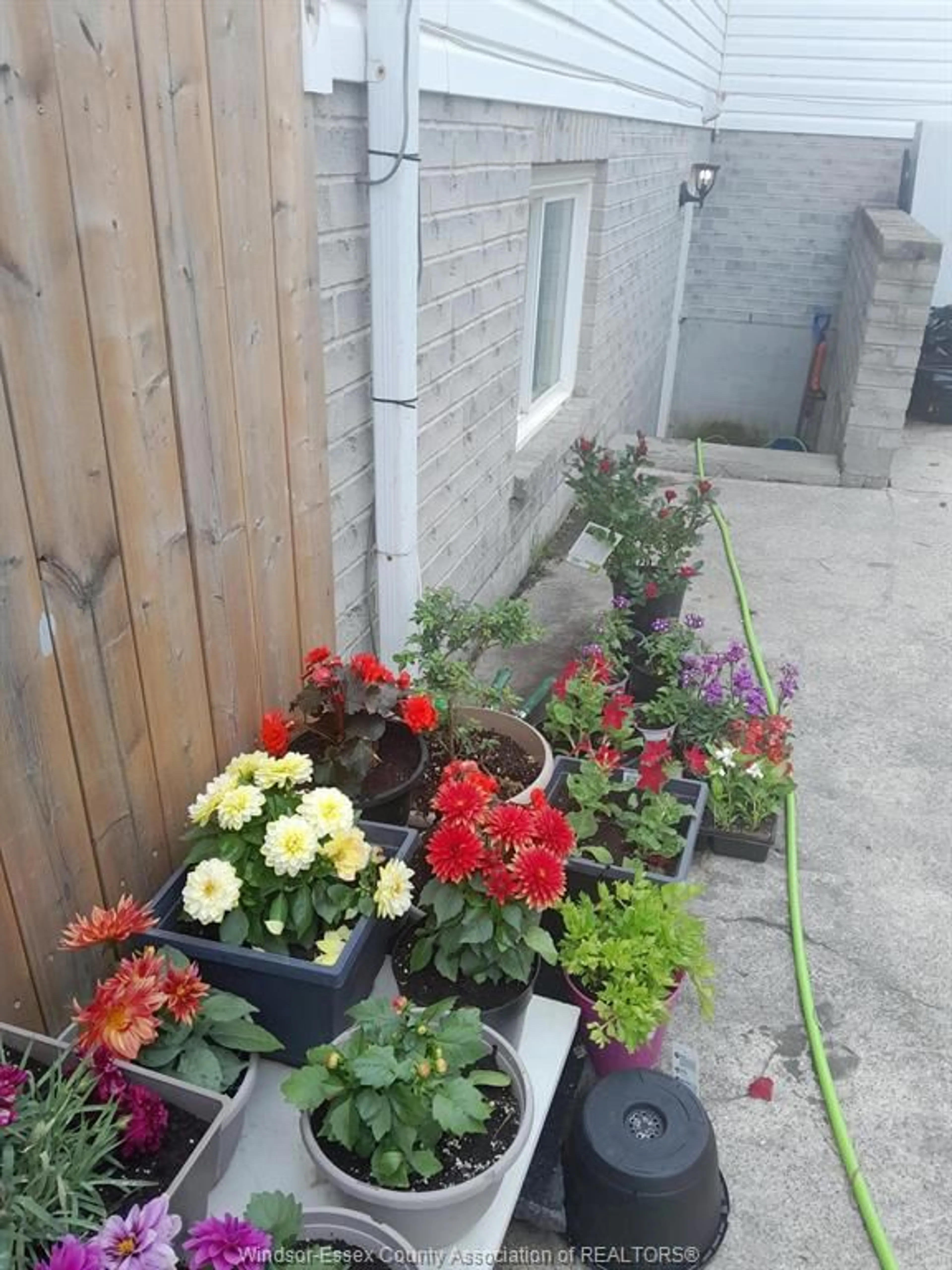 Patio, street for 75 Sutton, Leamington Ontario N8H 5K5