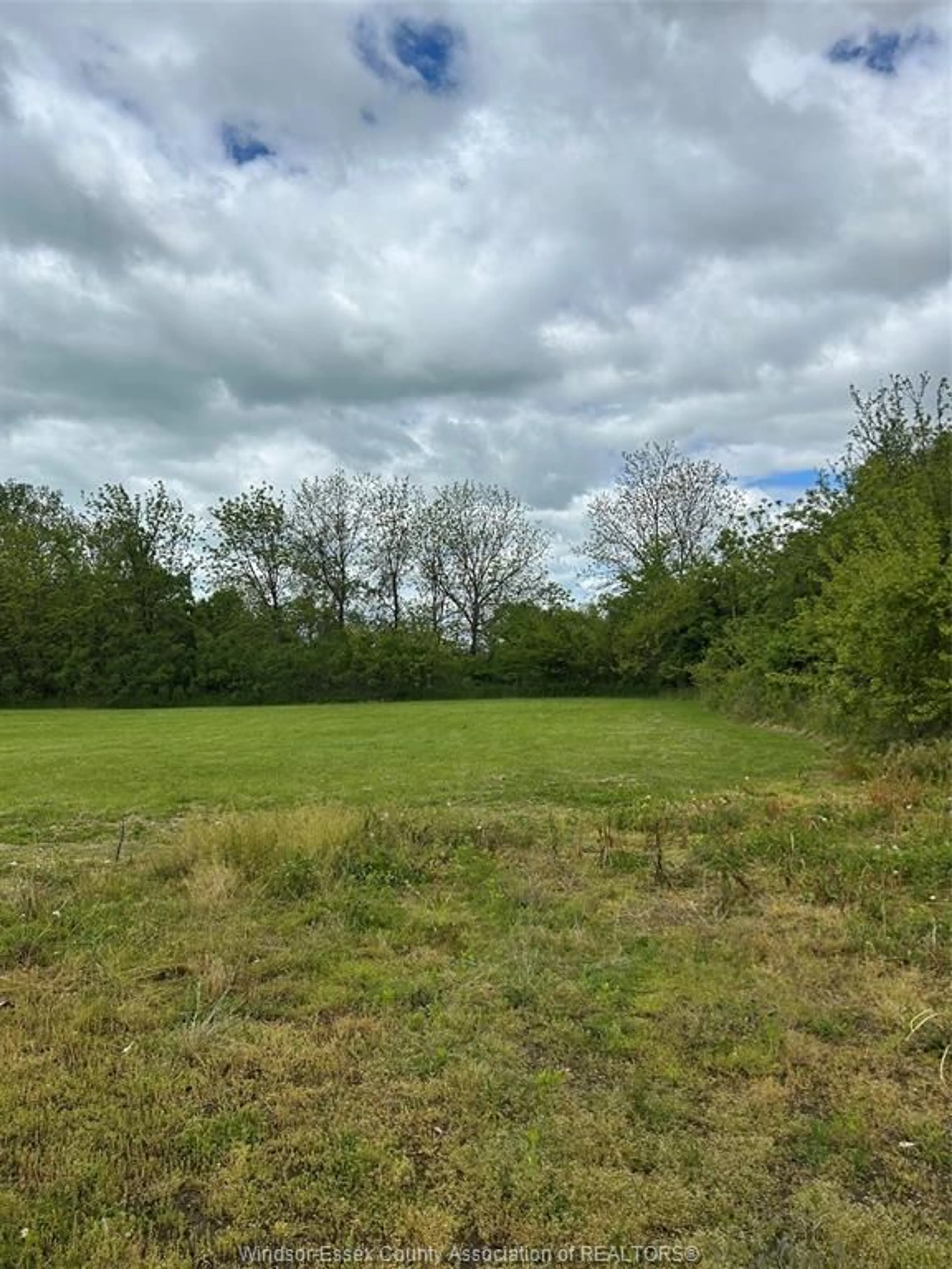 A pic from outside/outdoor area/front of a property/back of a property/a pic from drone, forest/trees view for V/L SYDENHAM, Colchester Ontario N0R 1G0