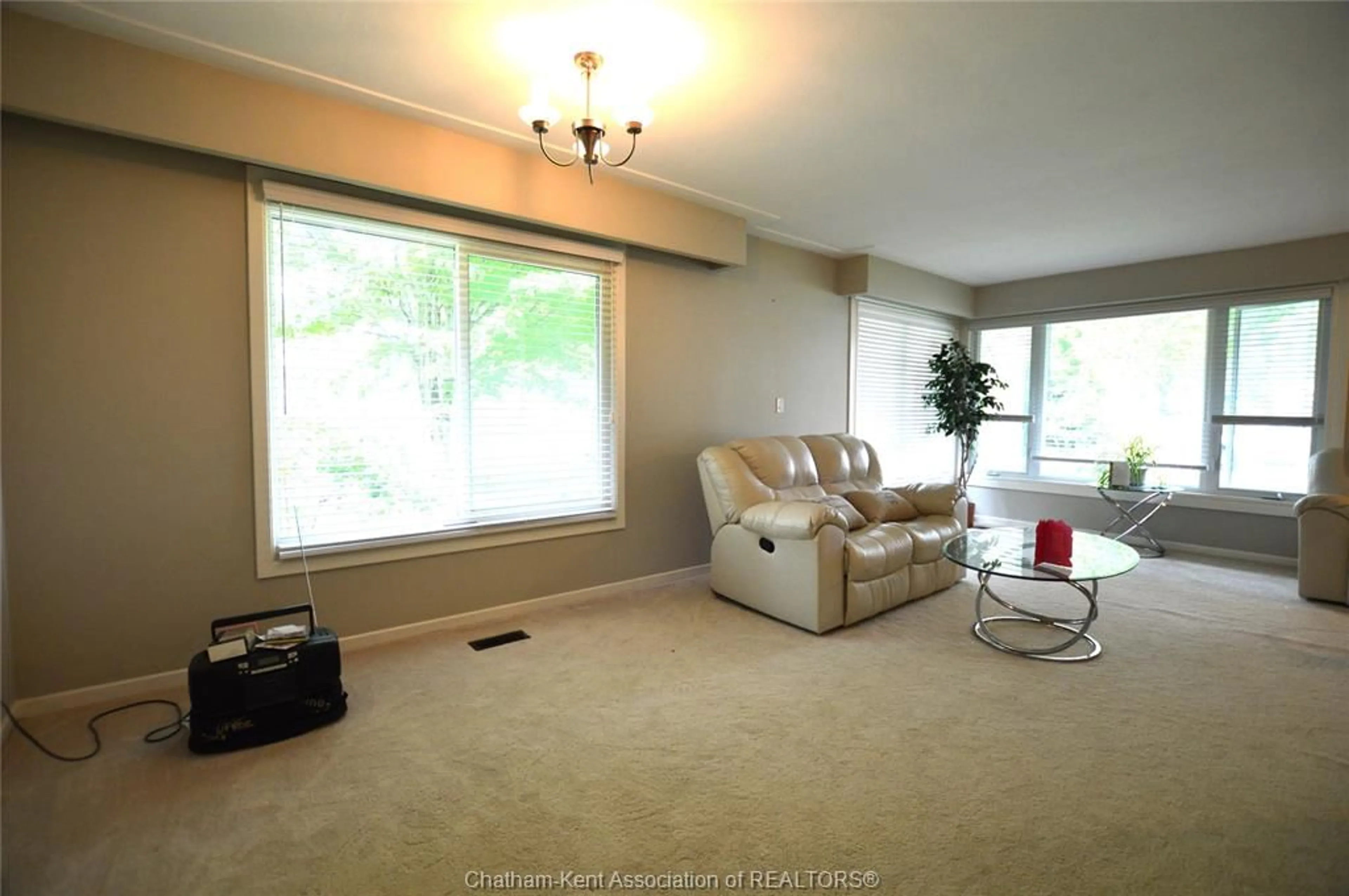 Living room with furniture, carpet floor for 6 Ann St, Ridgetown Ontario N0P 2C0