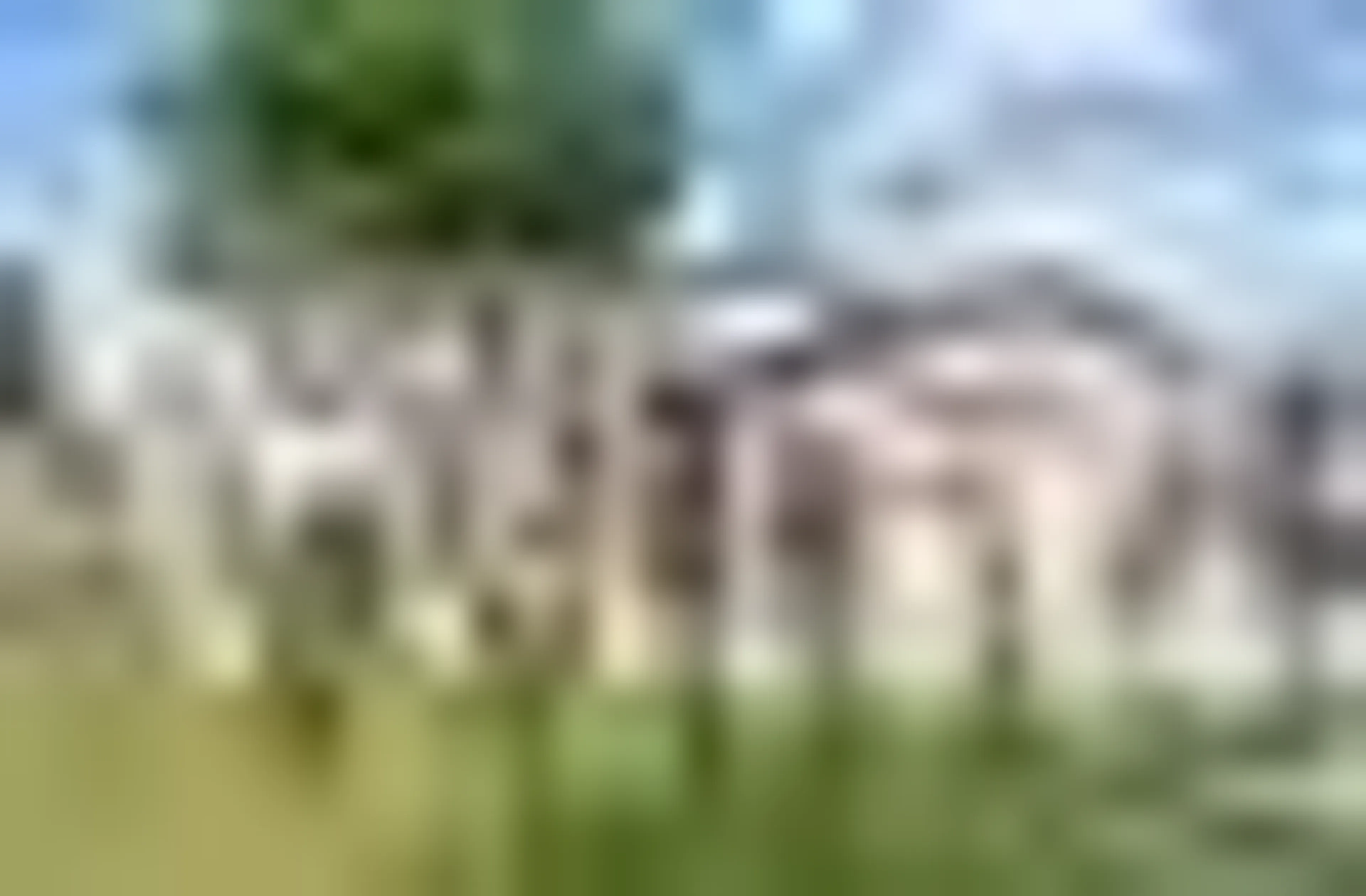 Blurry image for 97 ILLINOIS St, Amherstburg Ontario N9V 3Y3