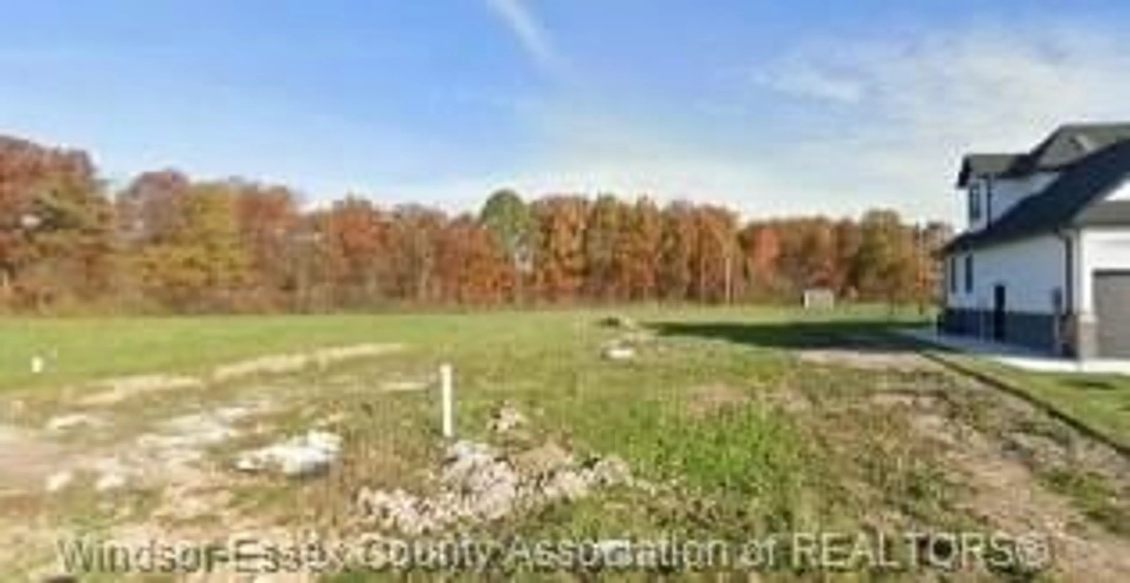 A pic from outside/outdoor area/front of a property/back of a property/a pic from drone, forest/trees view for 18 YORK Blvd, Kingsville Ontario N9Y 0E5
