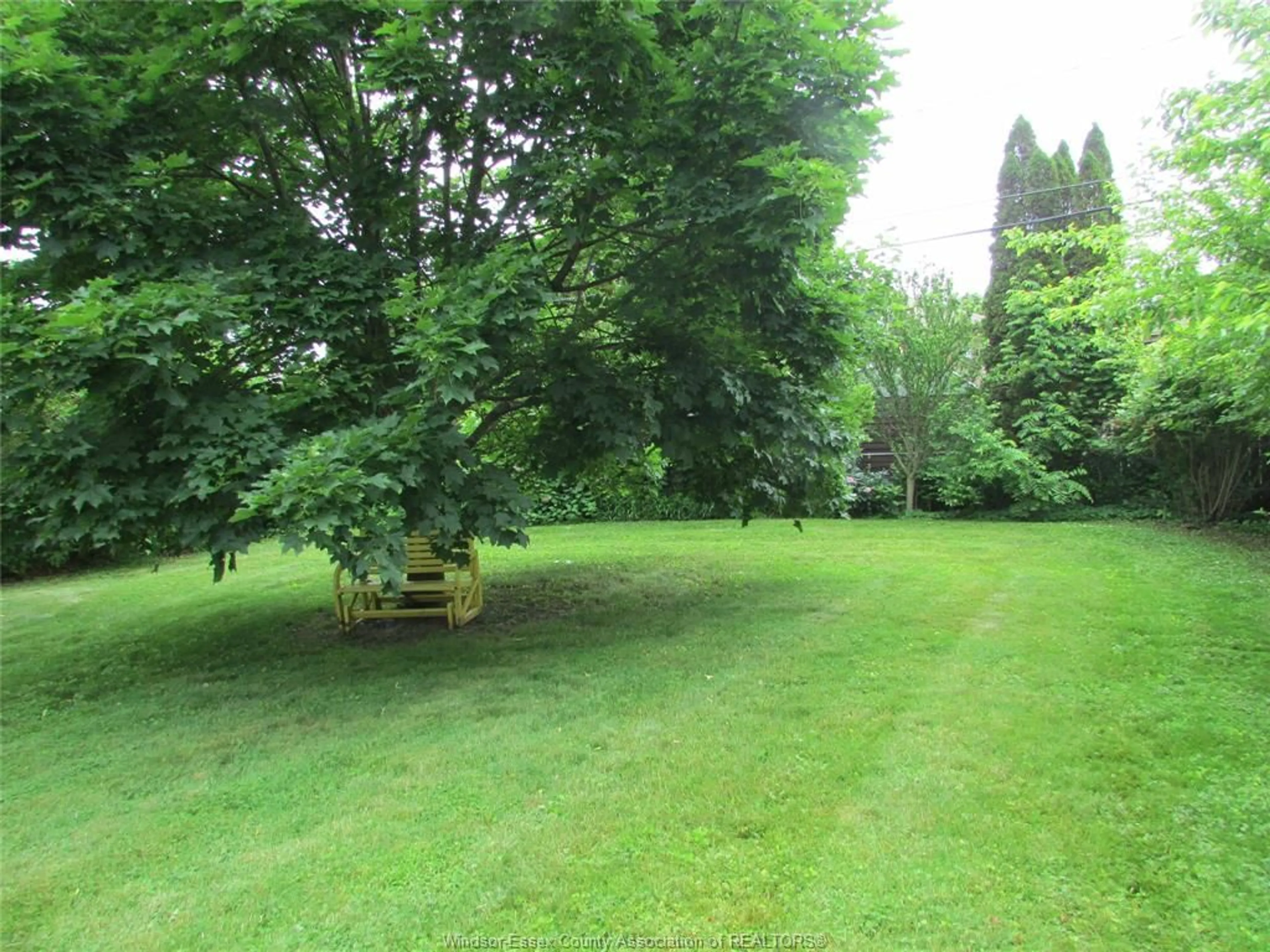 A pic from outside/outdoor area/front of a property/back of a property/a pic from drone, forest/trees view for 140 Danforth Ave, Leamington Ontario N8H 2R2