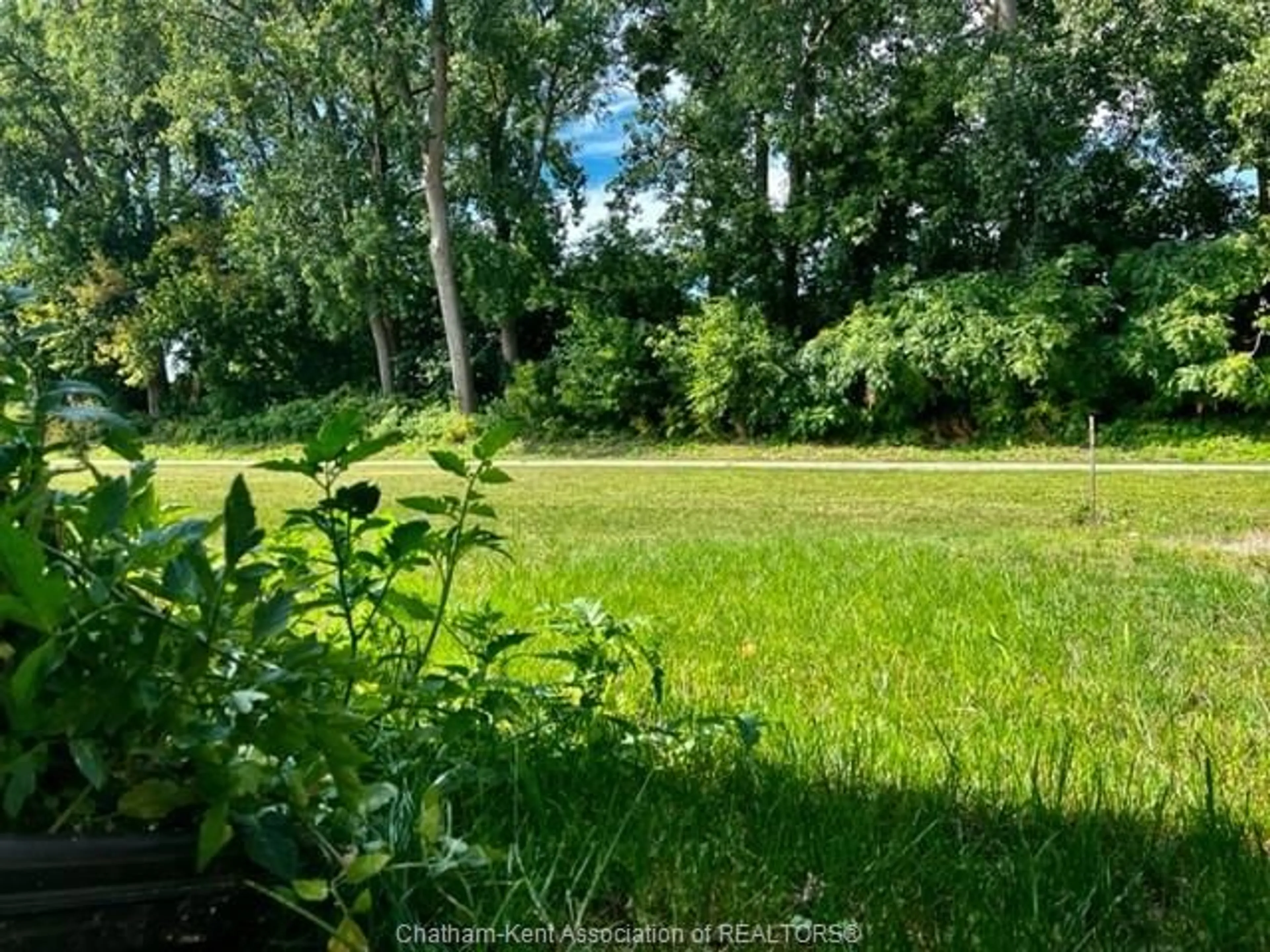 A pic from outside/outdoor area/front of a property/back of a property/a pic from drone, forest/trees view for 44 Churchill Park Rd, Chatham Ontario N7M 0R8