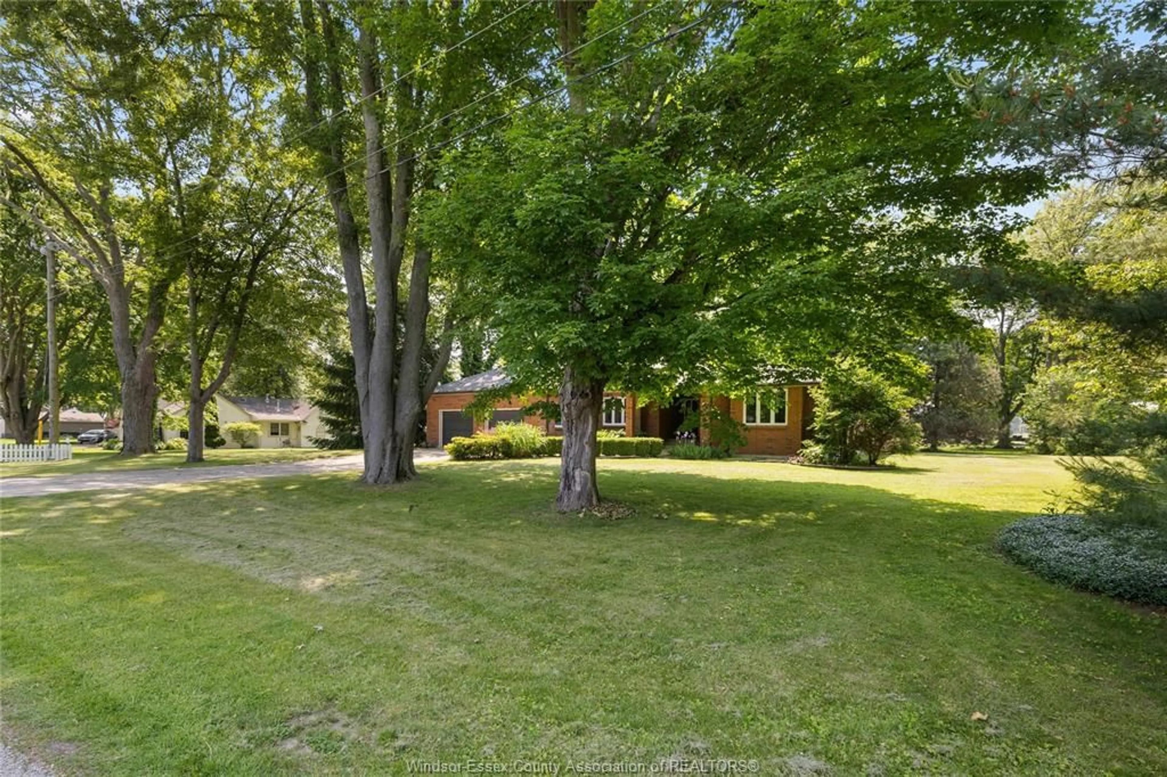 A pic from outside/outdoor area/front of a property/back of a property/a pic from drone, forest/trees view for 121 PARK St, Essex Ontario N0R 1G0