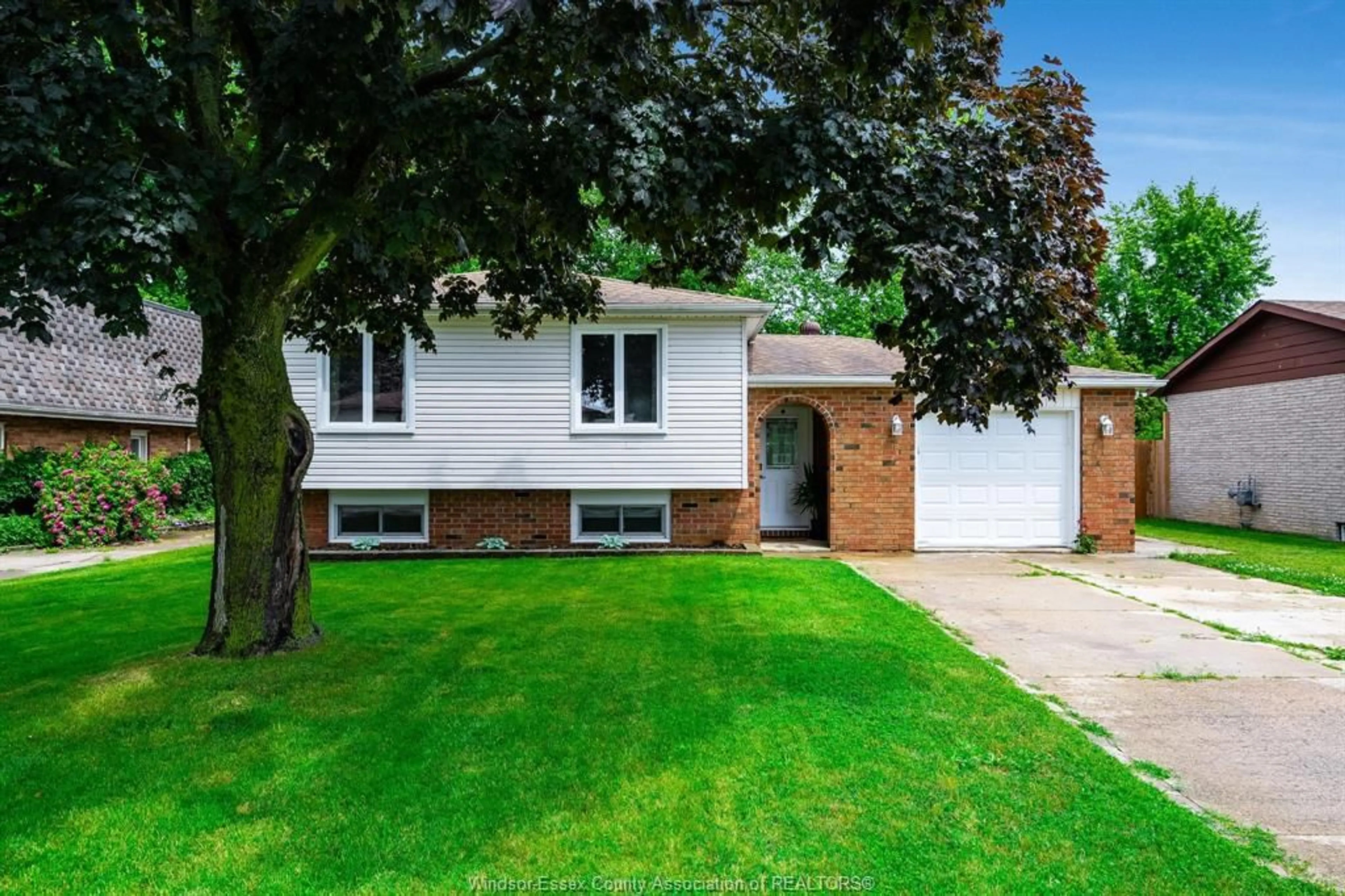 Home with vinyl exterior material, street for 186 ARTHUR St, Harrow Ontario N0R 1G0