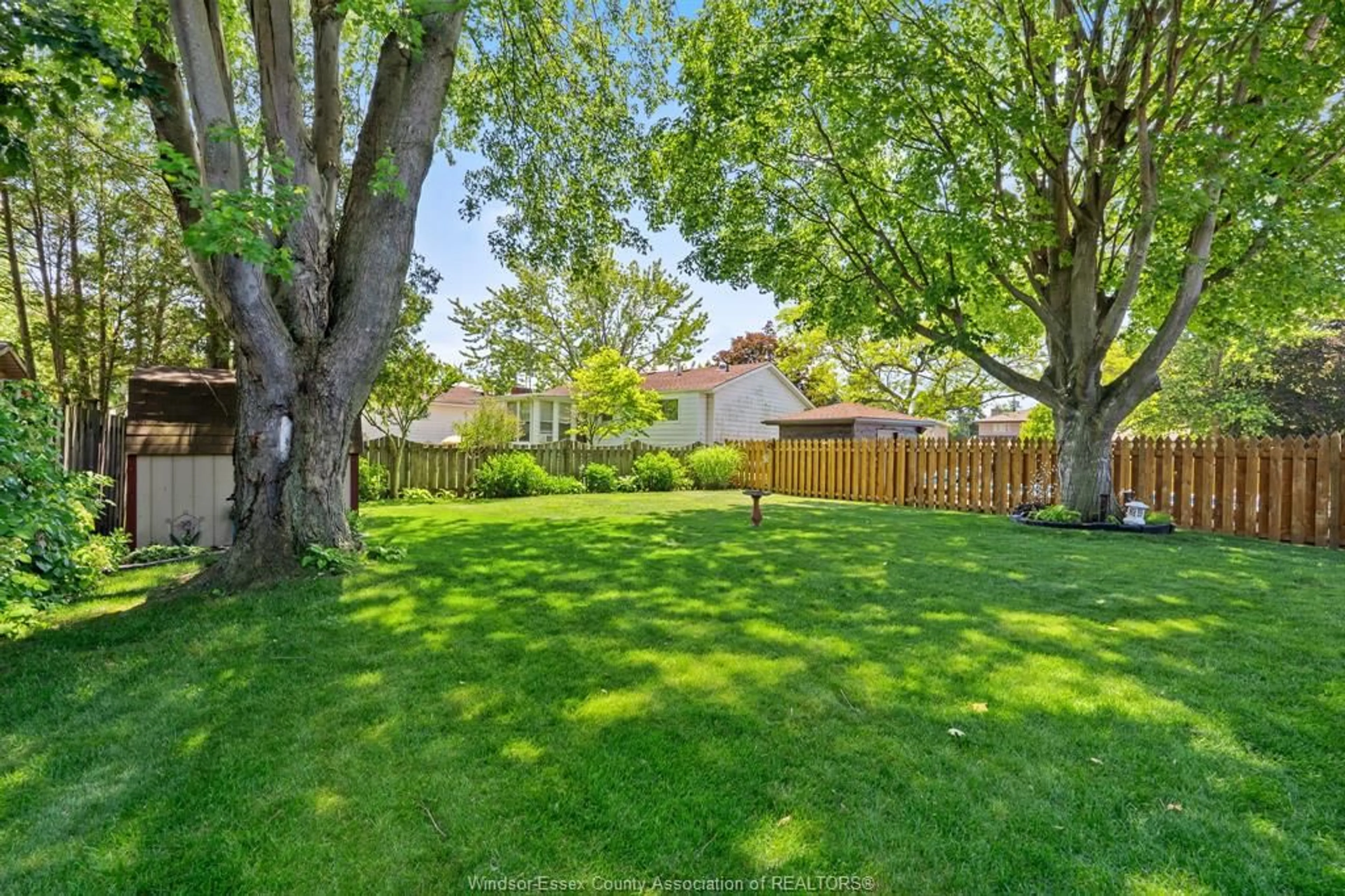 A pic from outside/outdoor area/front of a property/back of a property/a pic from drone, forest/trees view for 416 Oak St, Leamington Ontario N8H 3V7