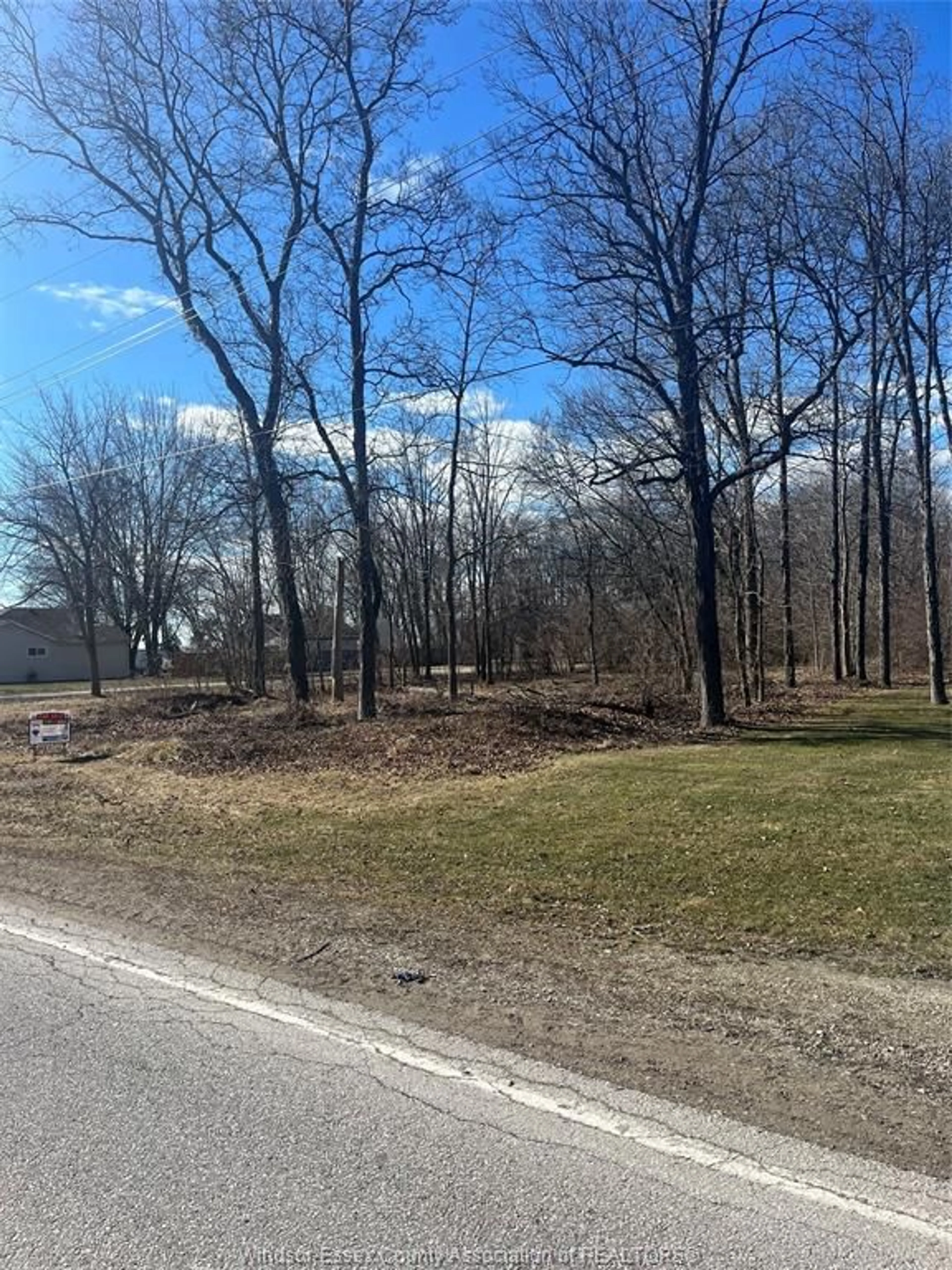 A pic from outside/outdoor area/front of a property/back of a property/a pic from drone, forest/trees view for V/L CONCESSION ROAD 3, Amherstburg Ontario N9V 2Y8