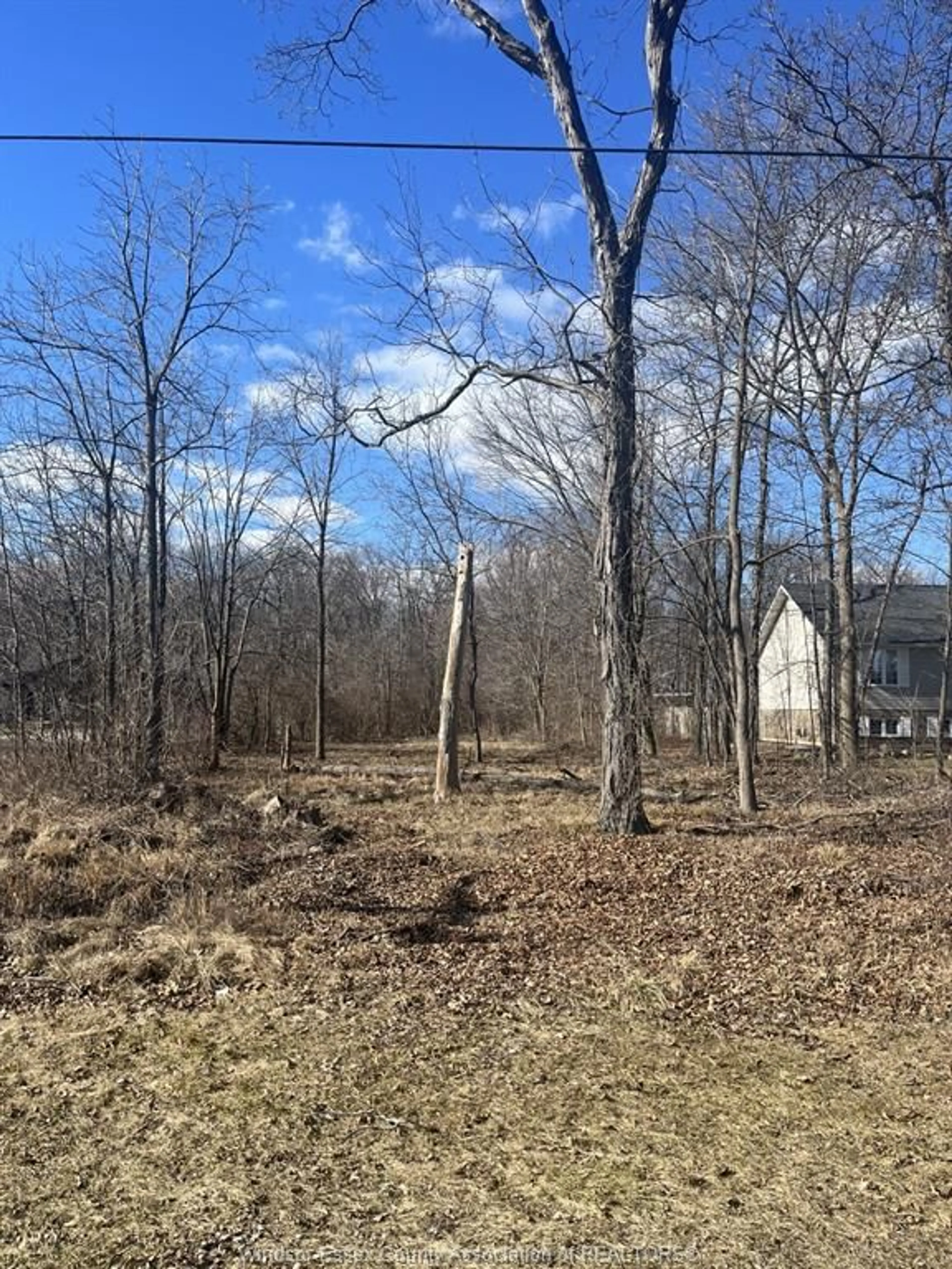 Unknown for V/L CONCESSION ROAD 3, Amherstburg Ontario N9V 2Y8