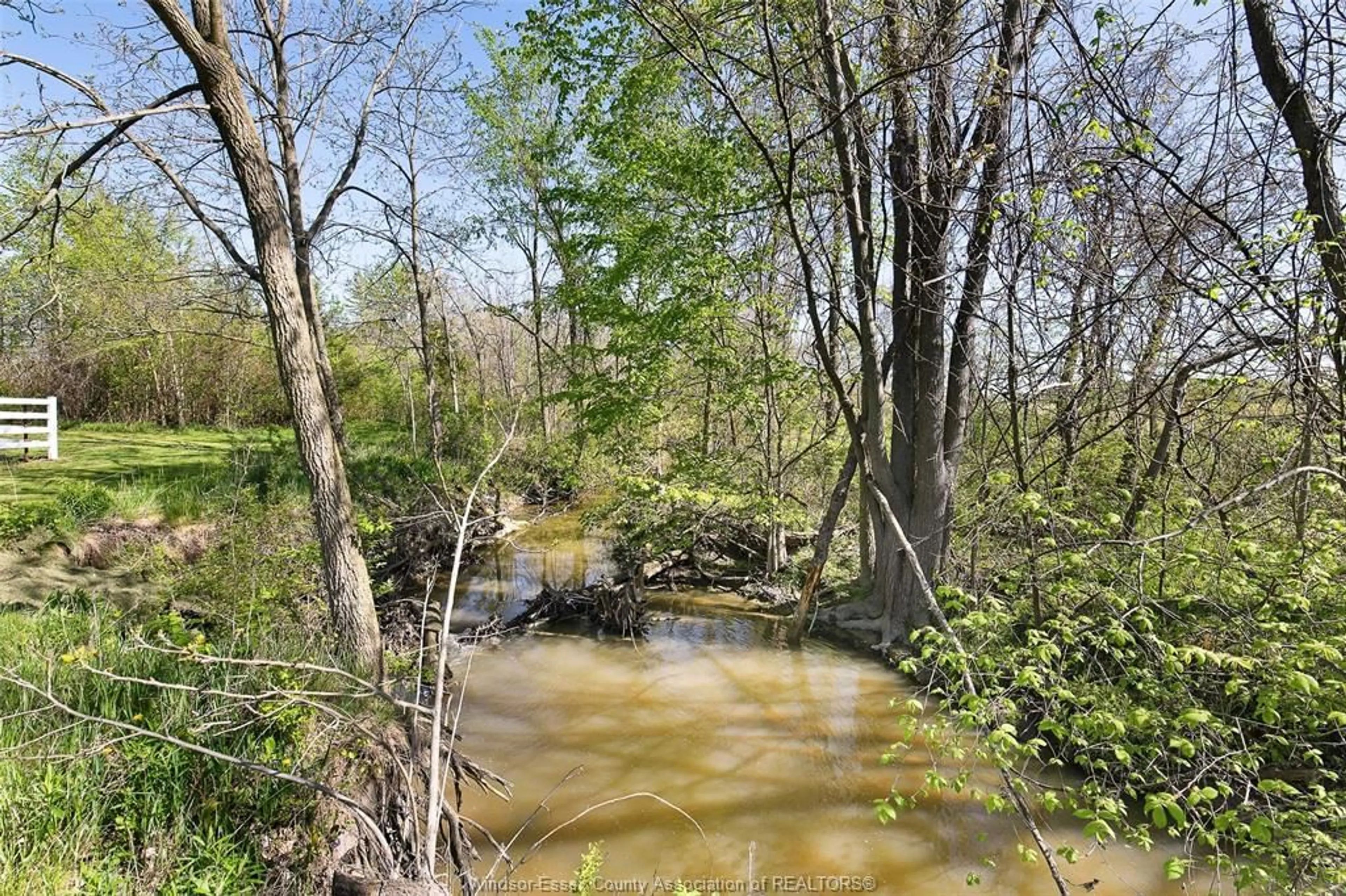 A pic from outside/outdoor area/front of a property/back of a property/a pic from drone, forest/trees view for 564 ROAD 2, Kingsville Ontario N9Y 2E4
