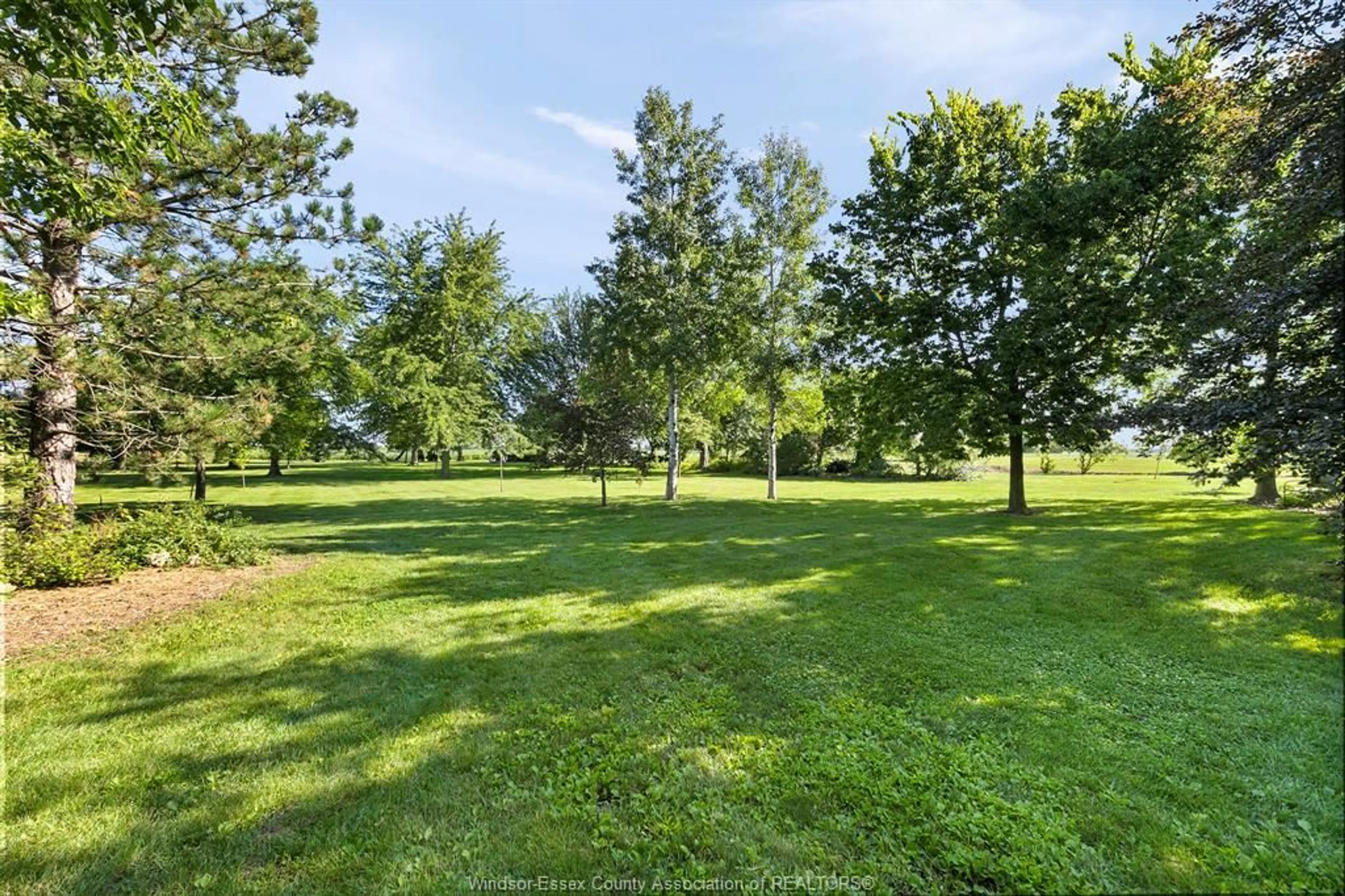 A pic from outside/outdoor area/front of a property/back of a property/a pic from drone, forest/trees view for 13568 COUNTY RD 46 (MIDDLE SIDE ROAD), Lakeshore Ontario N0P 1J0
