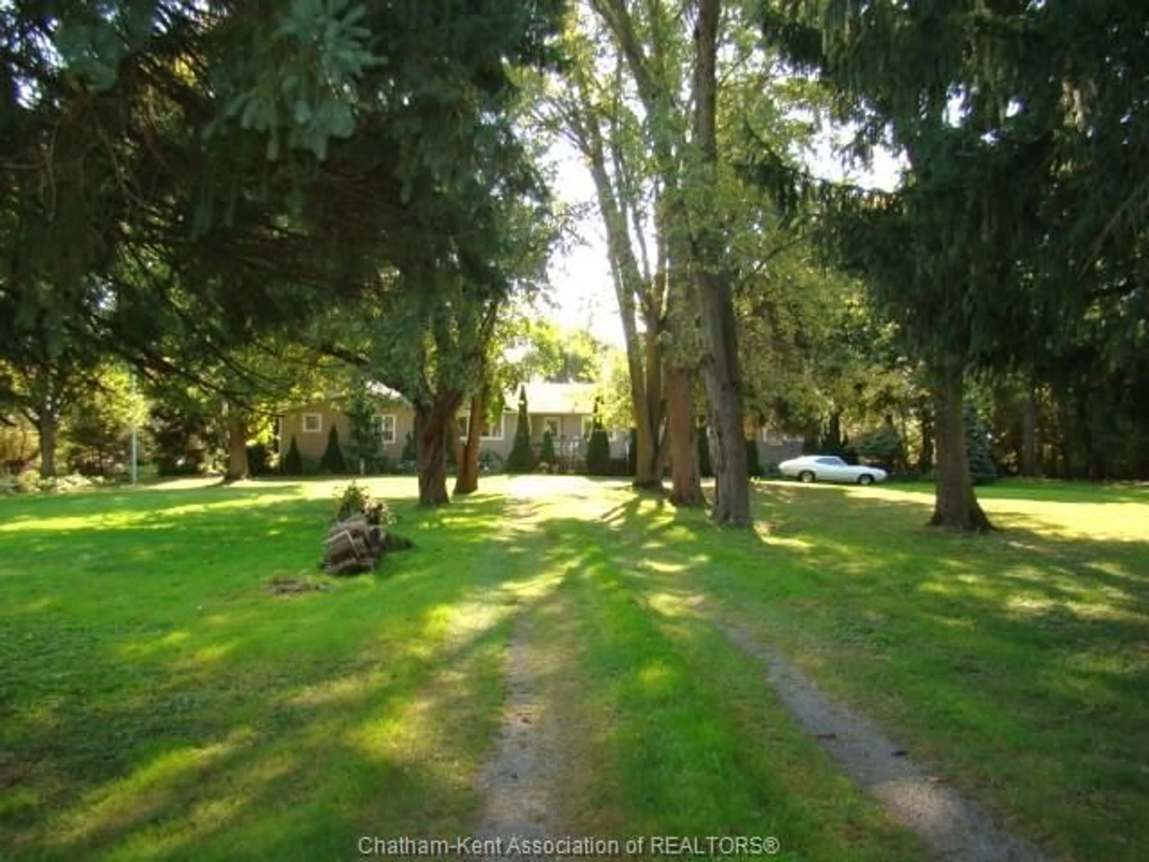 A pic from outside/outdoor area/front of a property/back of a property/a pic from drone, forest/trees view for 12578 MITTON Line, Ridgetown Ontario N0P 2C0