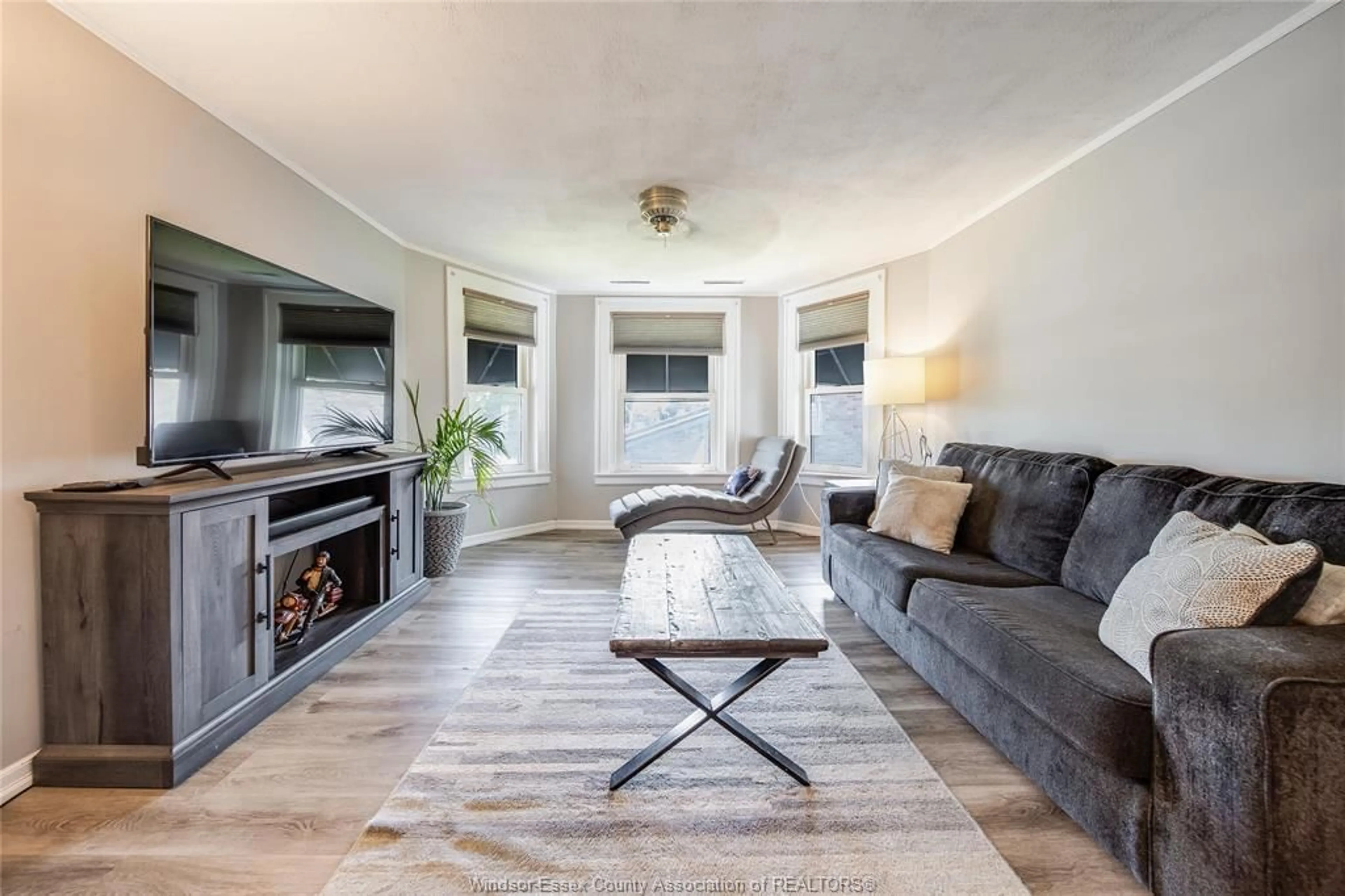 Living room with furniture, unknown for 178 FIRST St, Belle River Ontario N0R 1A0