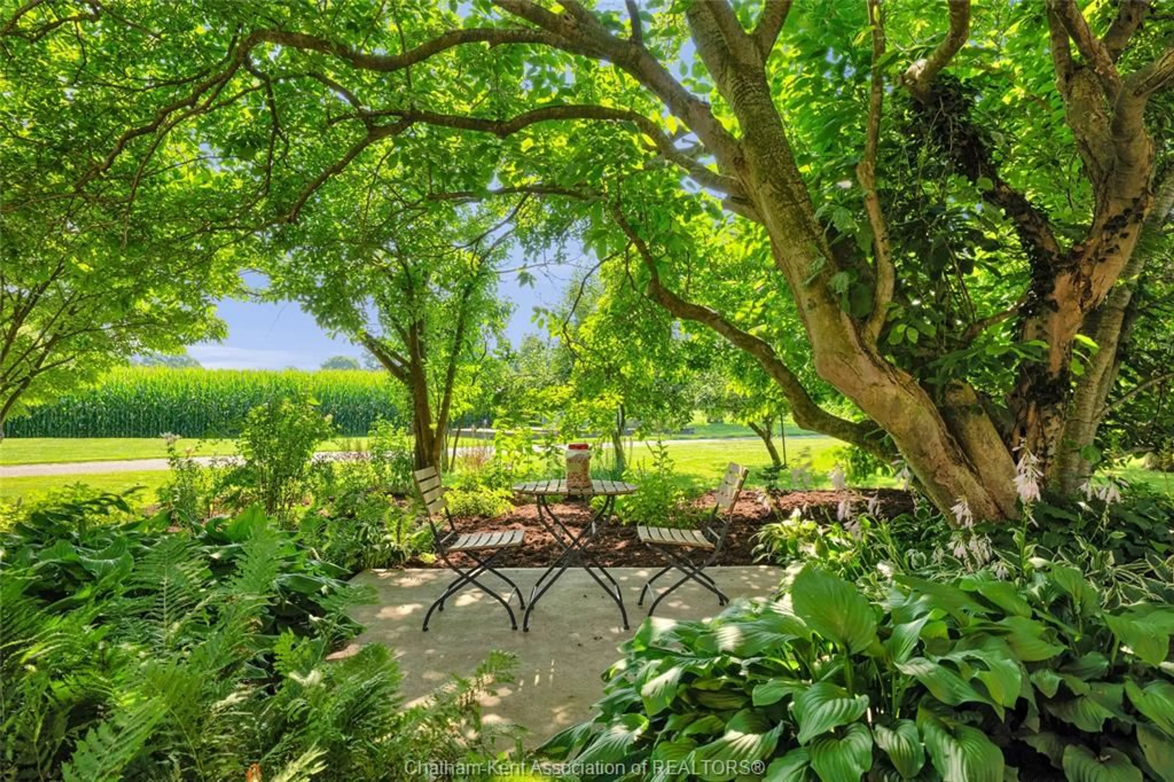 Patio, forest/trees view for 11175 River Line, Chatham Ontario N7M 5J4