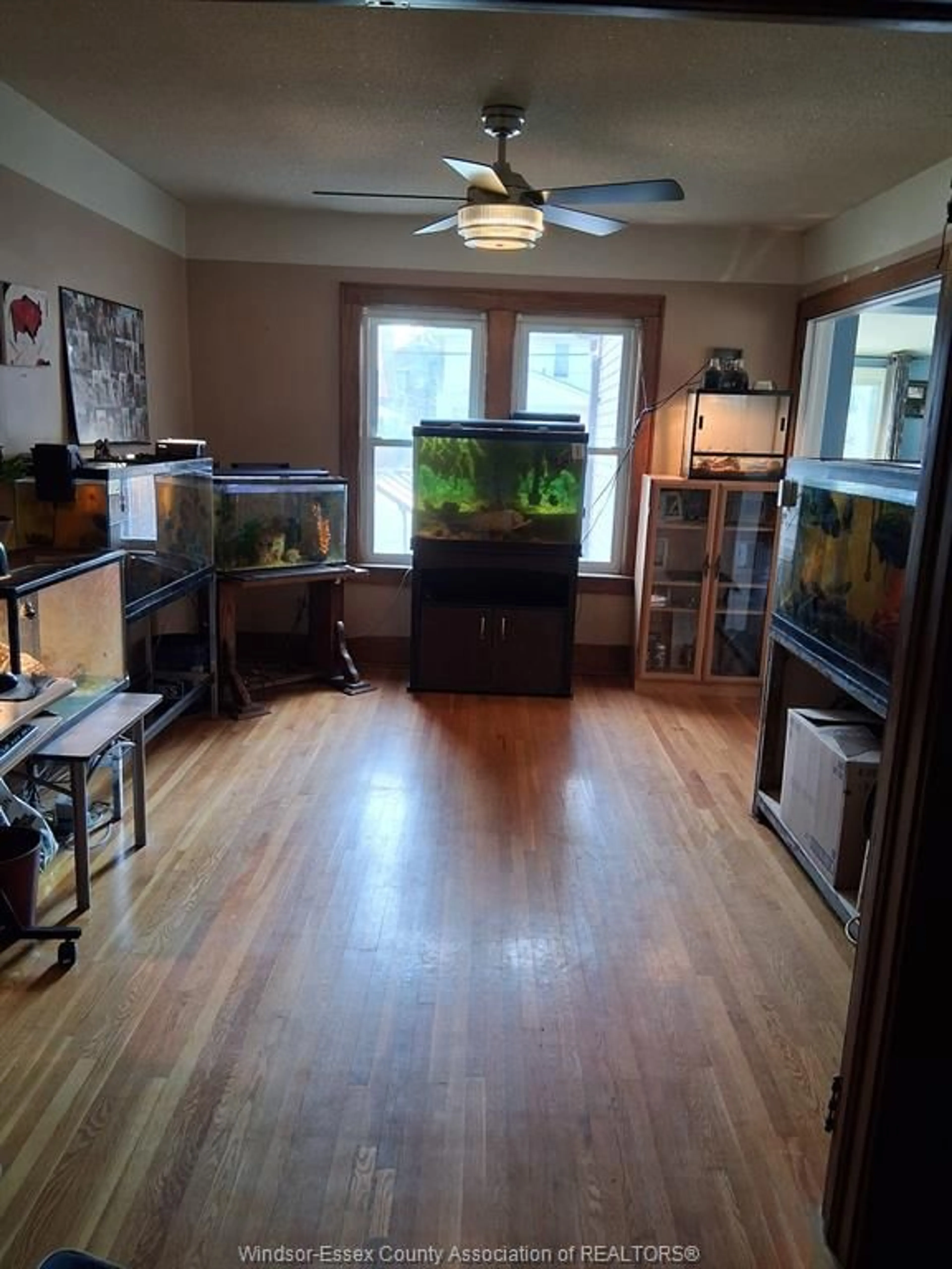 A pic of a room for 1223 ELSMERE, Windsor Ontario N8X 4G6