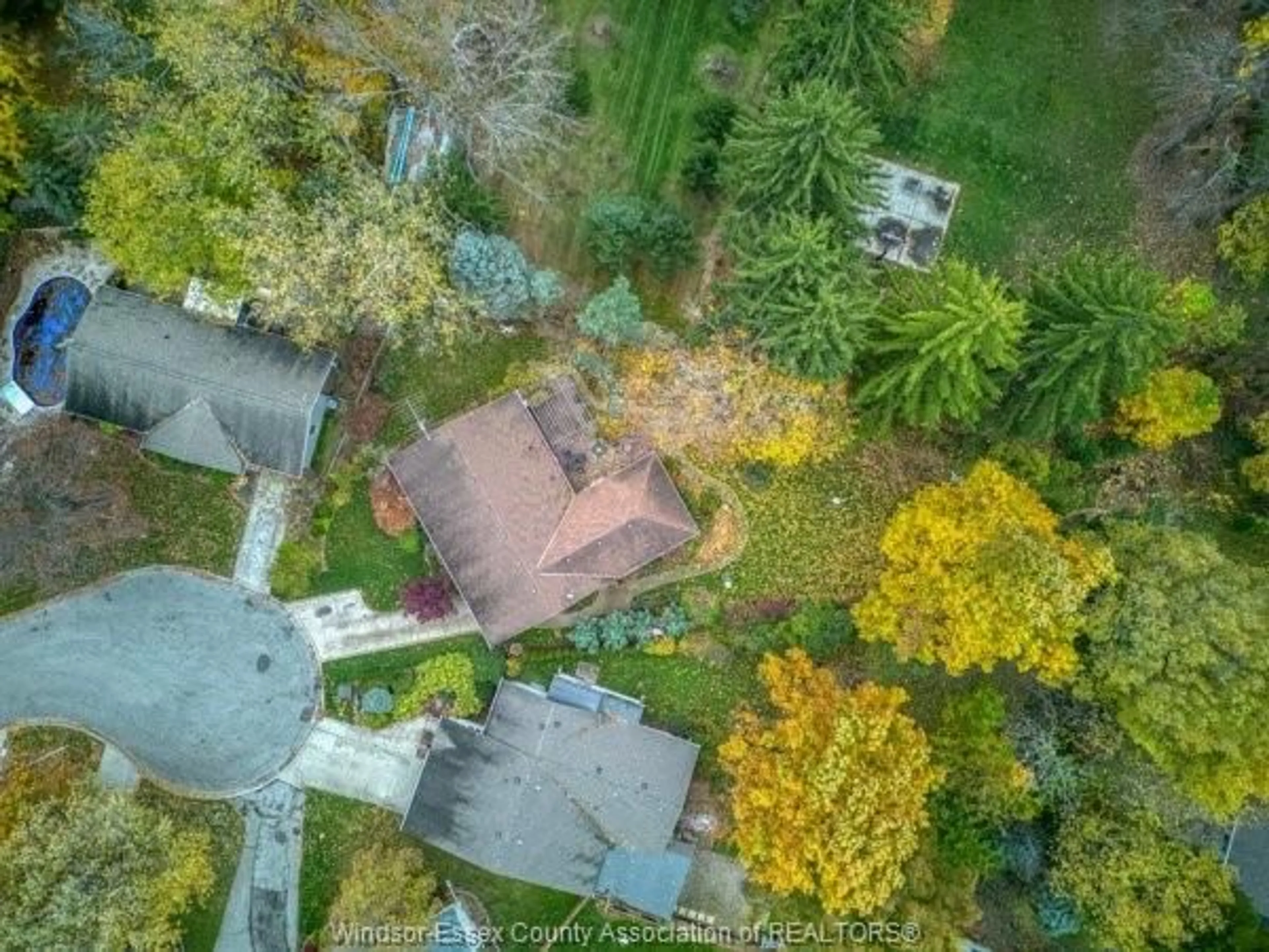 A pic from outside/outdoor area/front of a property/back of a property/a pic from drone, forest/trees view for 331 BAYVIEW Cres, Kingsville Ontario N9Y 2J6