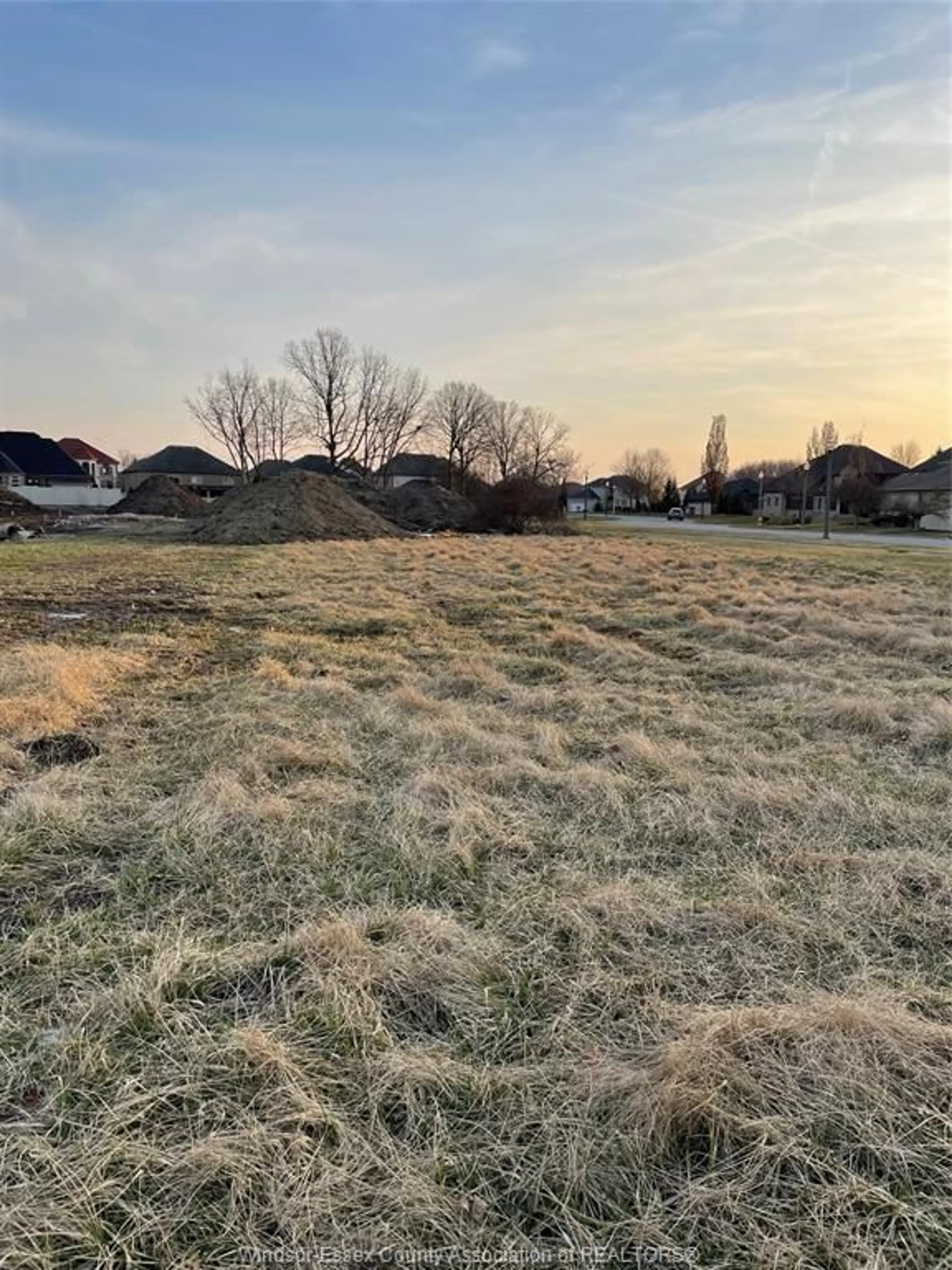 A pic from outside/outdoor area/front of a property/back of a property/a pic from drone, street for 1067 NORTH TALBOT, Windsor Ontario N9G 1M8