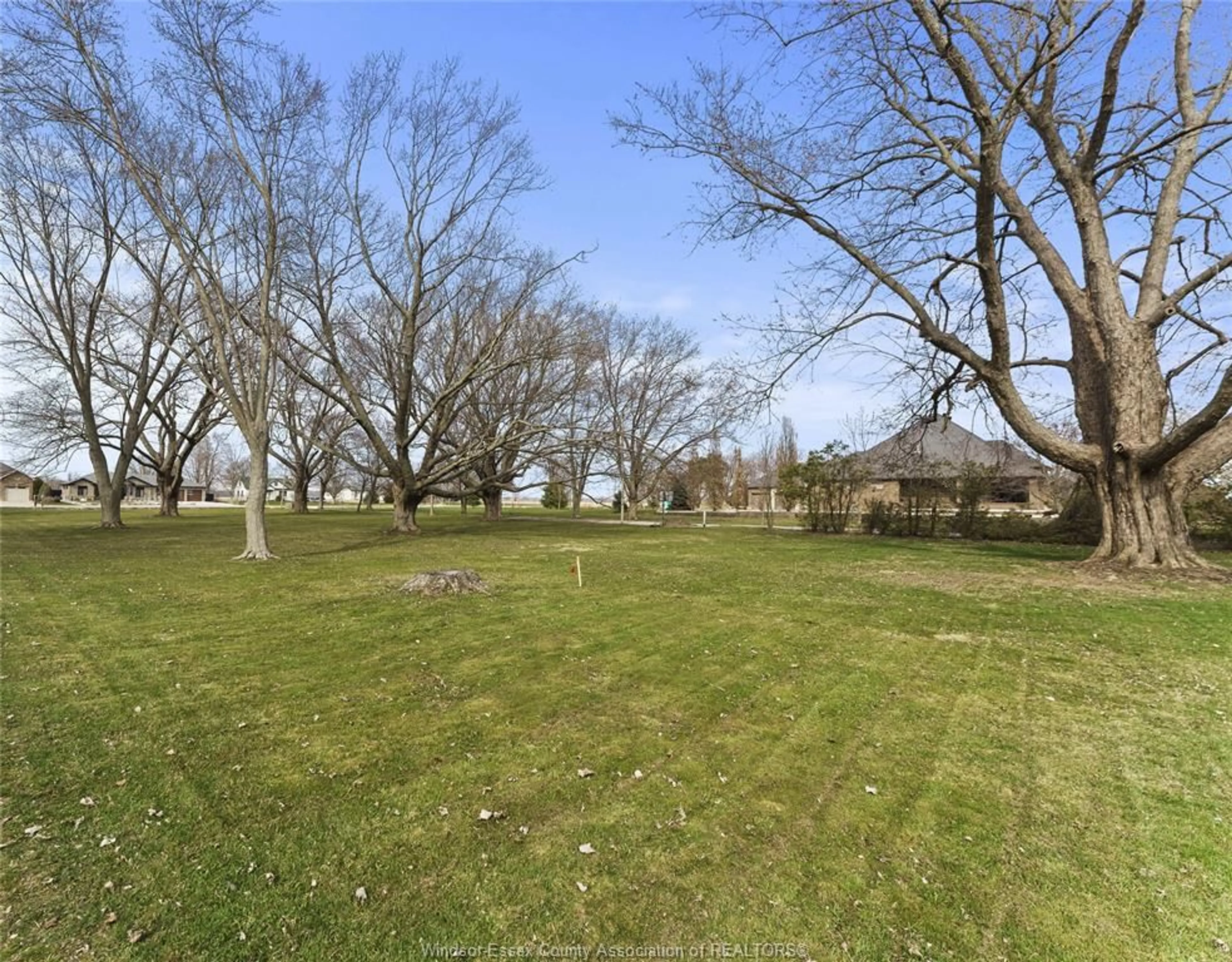 A pic from outside/outdoor area/front of a property/back of a property/a pic from drone, forest/trees view for V/L HERITAGE Rd, Kingsville Ontario N9Y 2E6