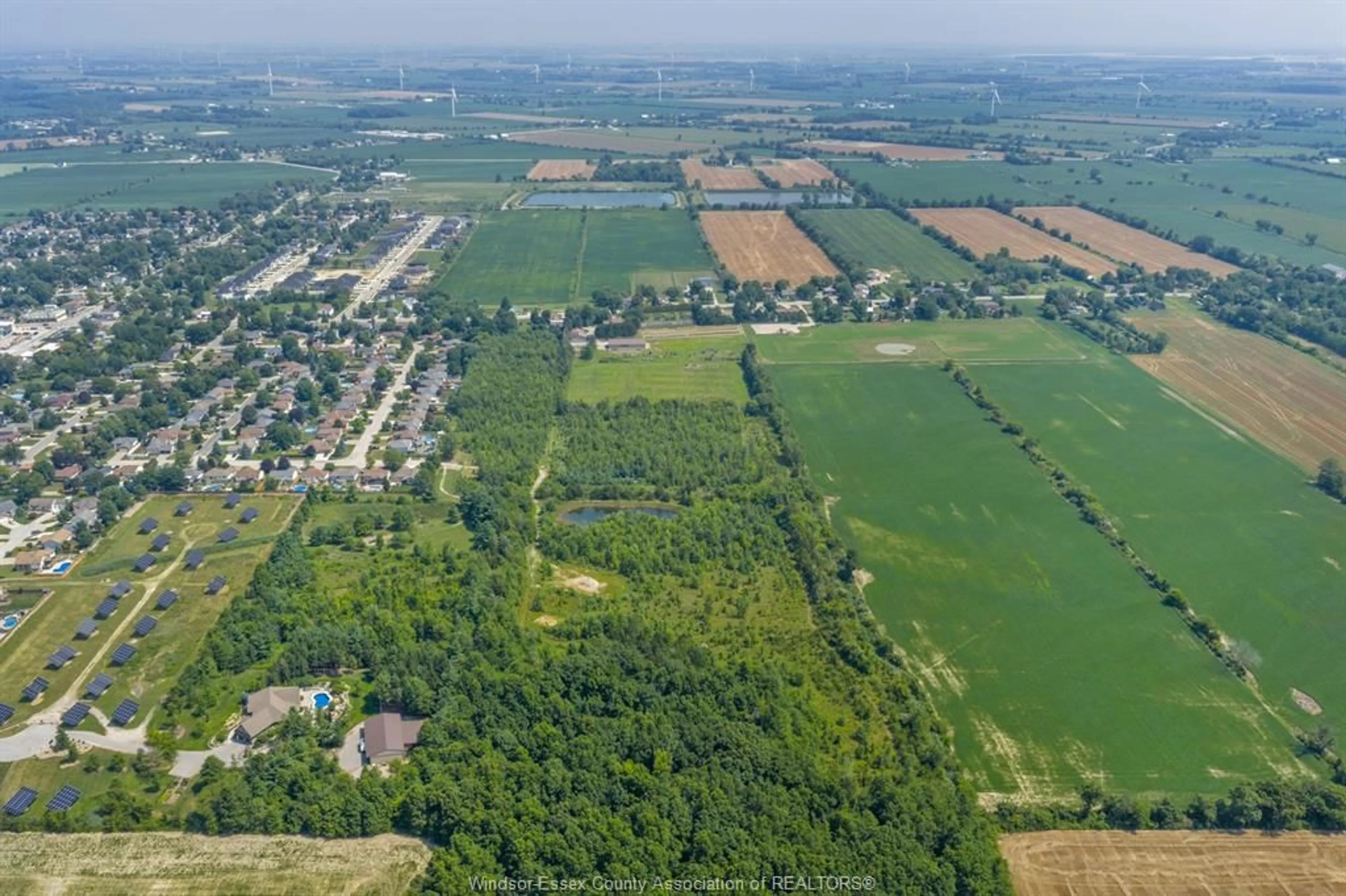 A pic from outside/outdoor area/front of a property/back of a property/a pic from drone, forest/trees view for 39 WILLIAM St, Kingsville Ontario N0R 1B0