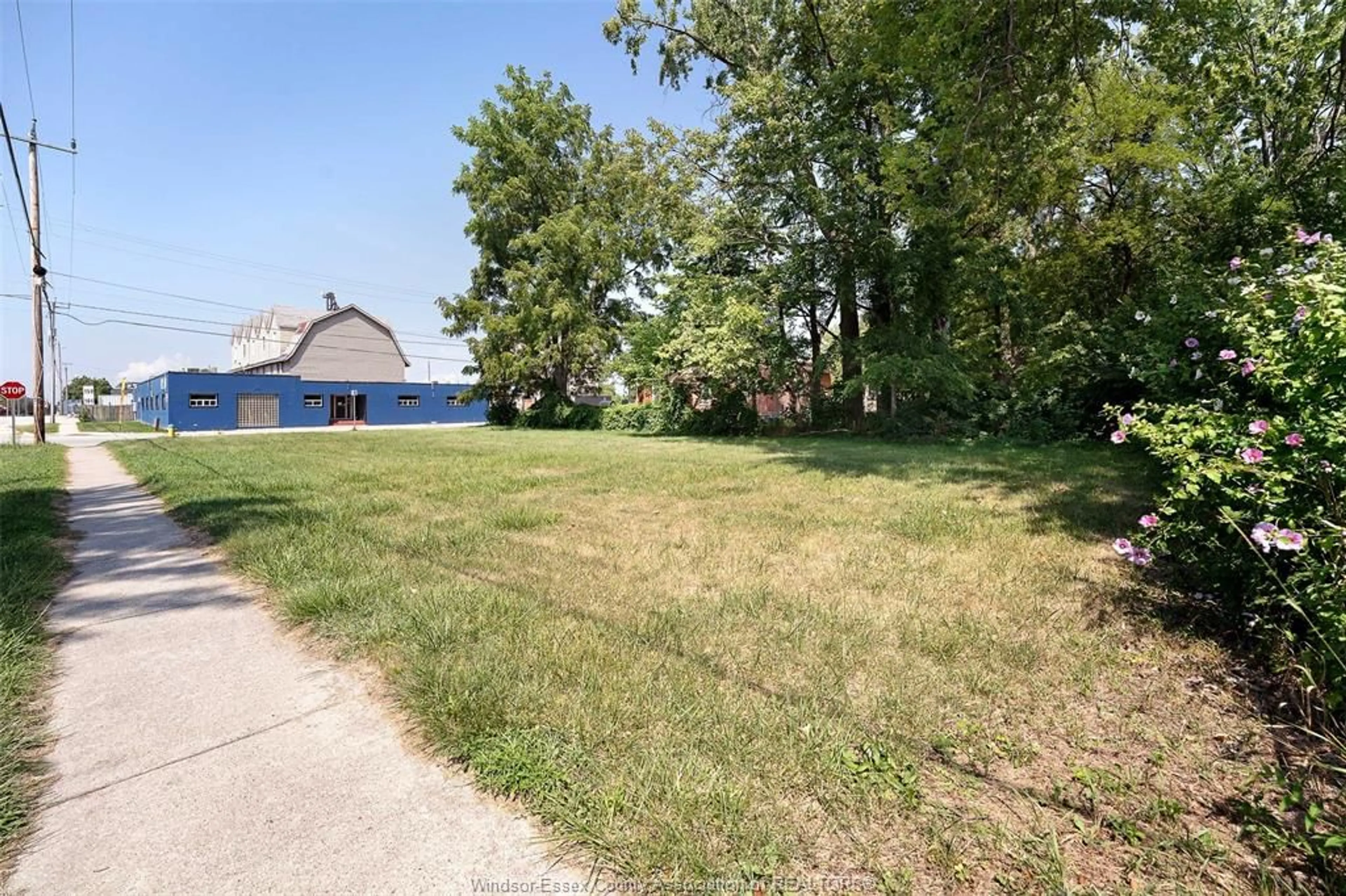 A pic from outside/outdoor area/front of a property/back of a property/a pic from drone, street for 314 QUEEN St #V/L, Harrow Ontario N0R 1G0