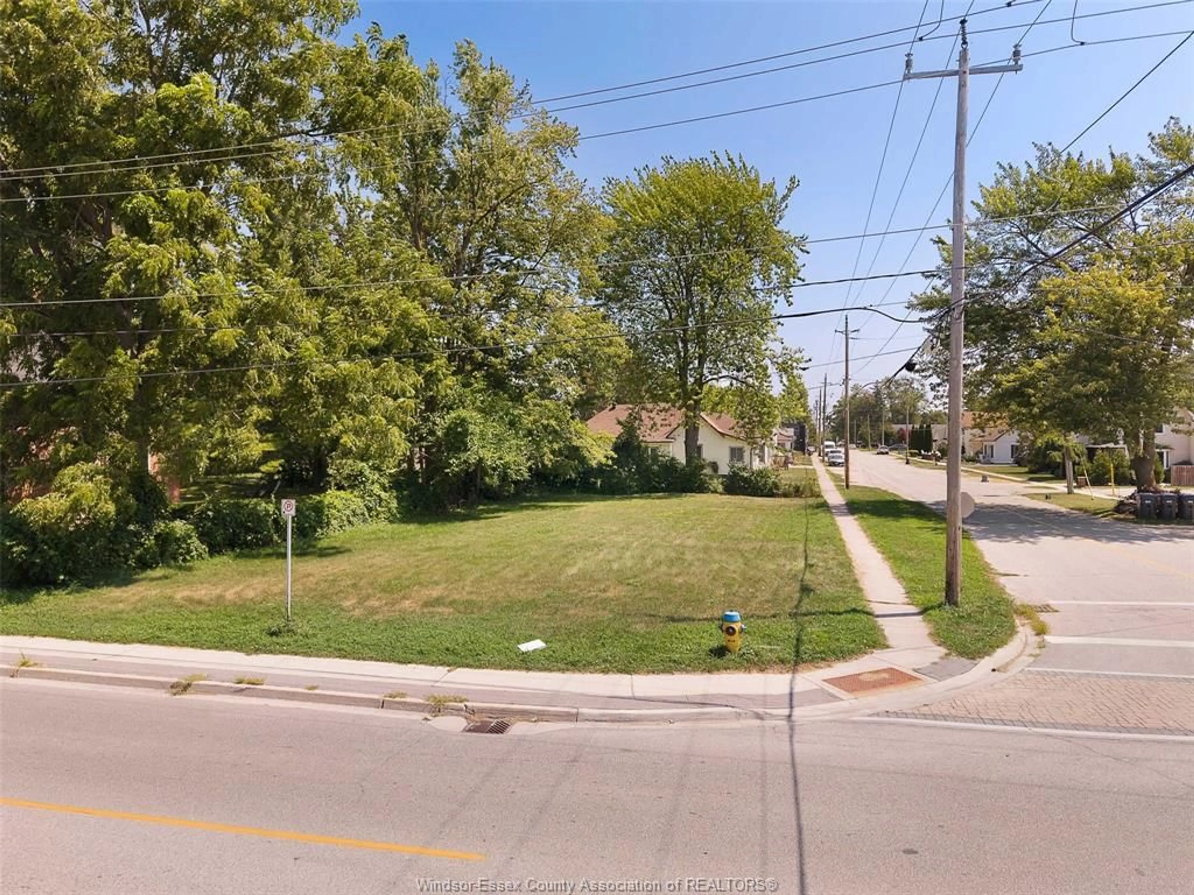 A pic from outside/outdoor area/front of a property/back of a property/a pic from drone, street for 314 QUEEN St #V/L, Harrow Ontario N0R 1G0