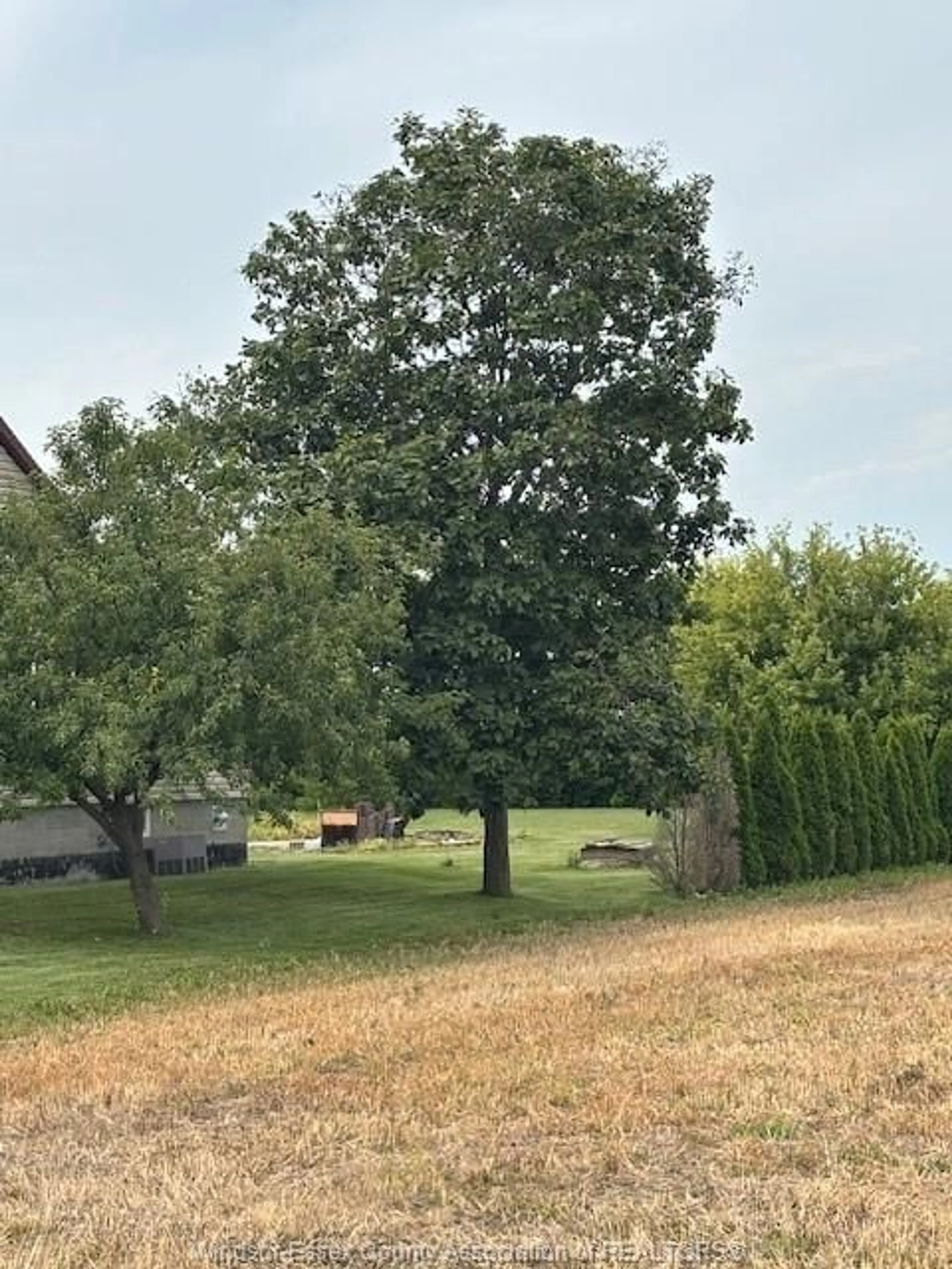A pic from outside/outdoor area/front of a property/back of a property/a pic from drone, forest/trees view for 2543 LAKESHORE ROAD 243, Rochester Ontario N0R 1A0
