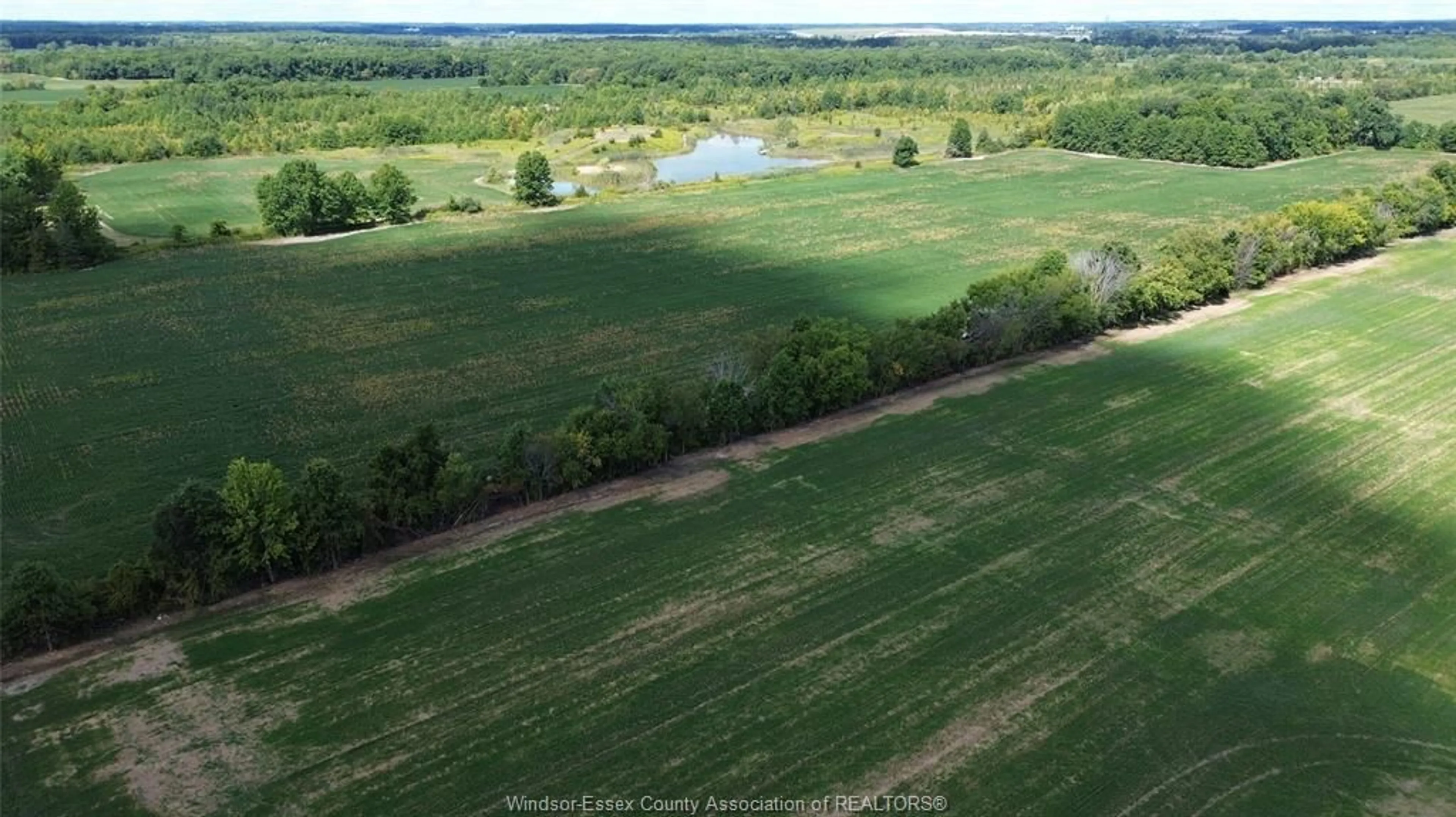 A pic from outside/outdoor area/front of a property/back of a property/a pic from drone, water/lake/river/ocean view for 5910 5TH CONESSION Rd, Harrow Ontario N0R 1G0