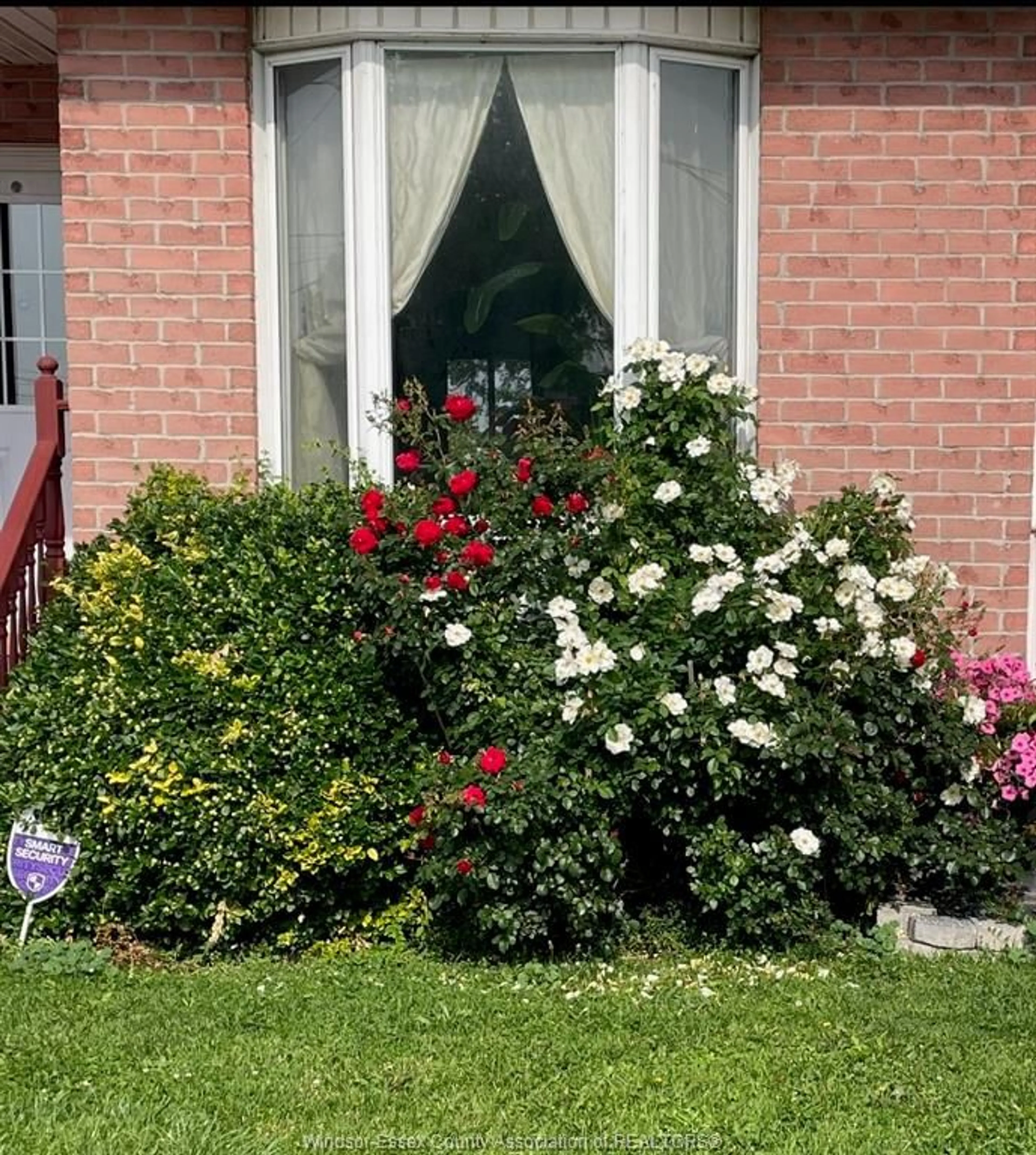 A pic from outside/outdoor area/front of a property/back of a property/a pic from drone, street for 188 ARTHUR St, Harrow Ontario N0R 1G0